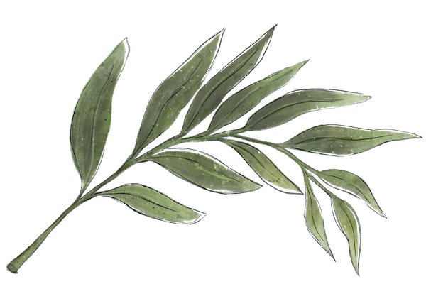 Decorative sage leaf at Crystal Cottage mountain retreat in Keystone Colorado.