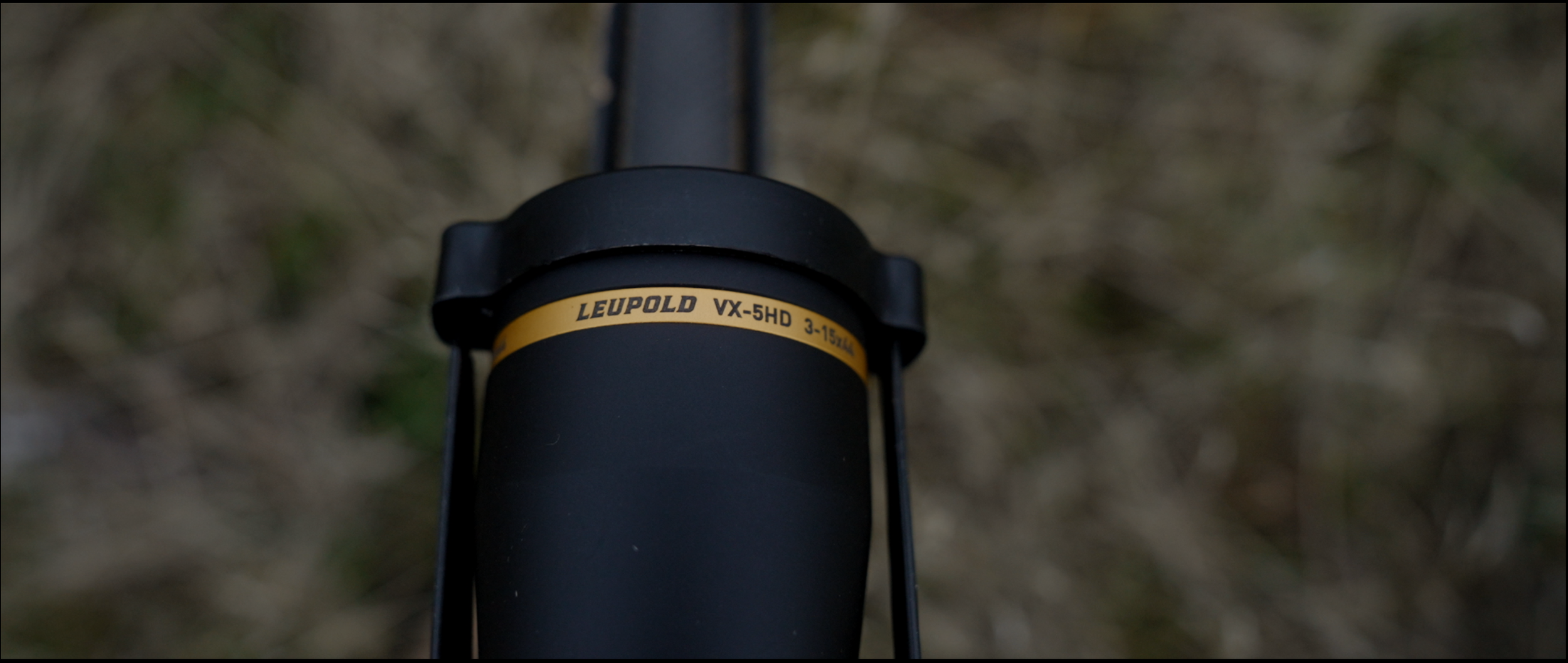 Screenshot 2025-01-10 at 4.54.42 PM.png