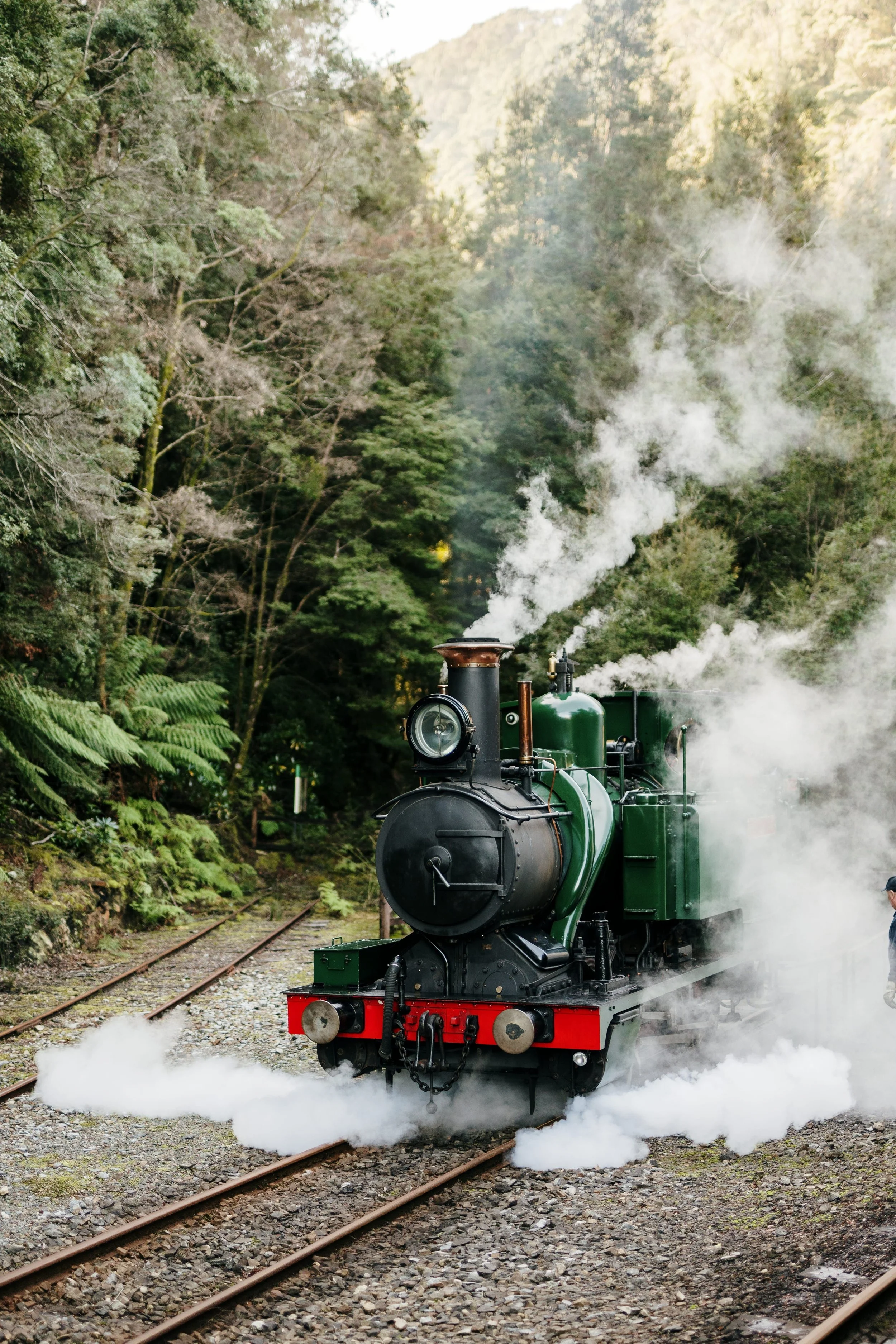 A vintage steam locomotive emitting white steam travels on railway tracks surrounded by lush green trees.