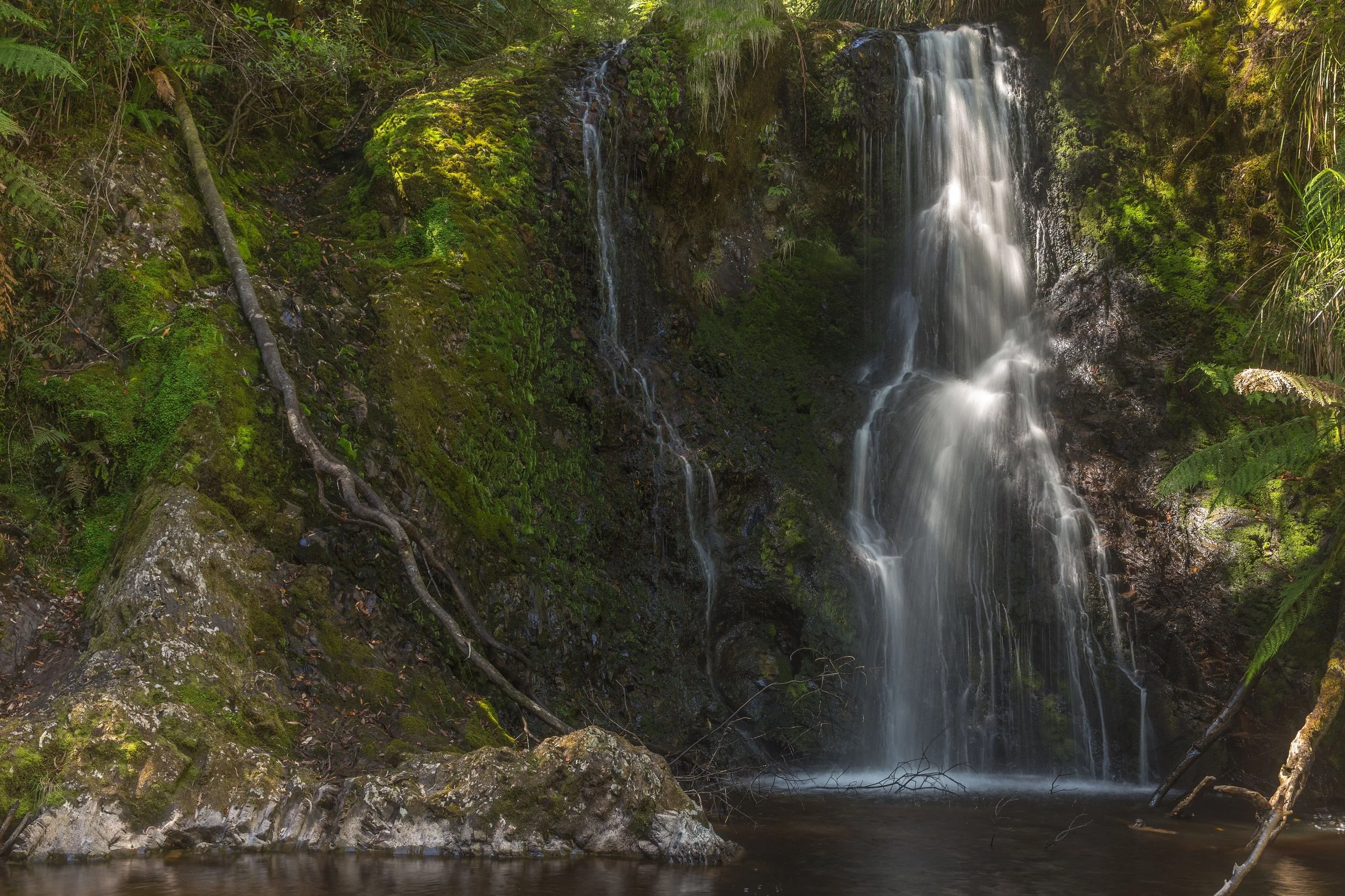 A small waterfall cascading down moss-covered rocks in a lush green forest.