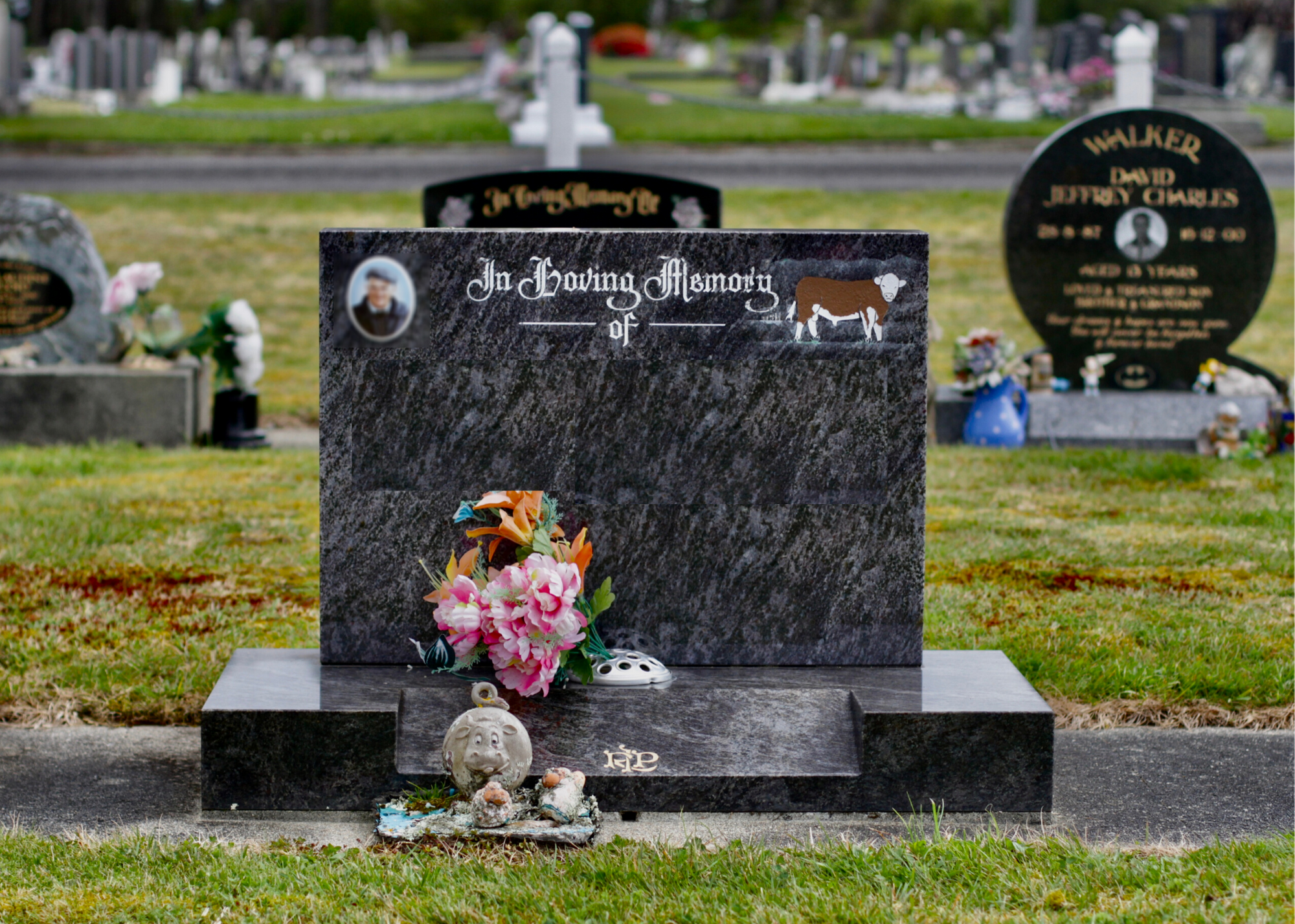 Gray granite headstone at a cemetery with a photo of a man, an illustration of a cow, and the words "In Loving Memory of." There are flowers and small decorative items at the base.