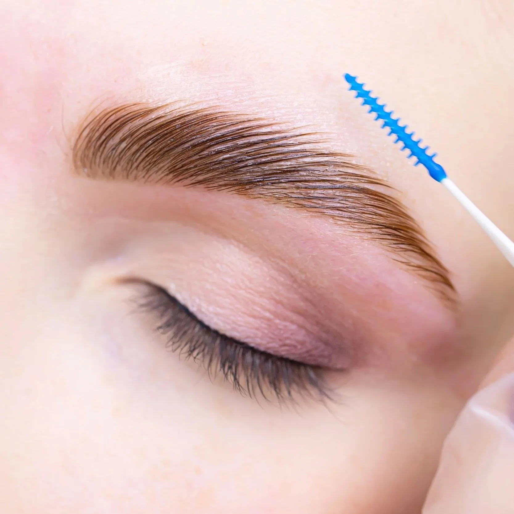 brow lamination