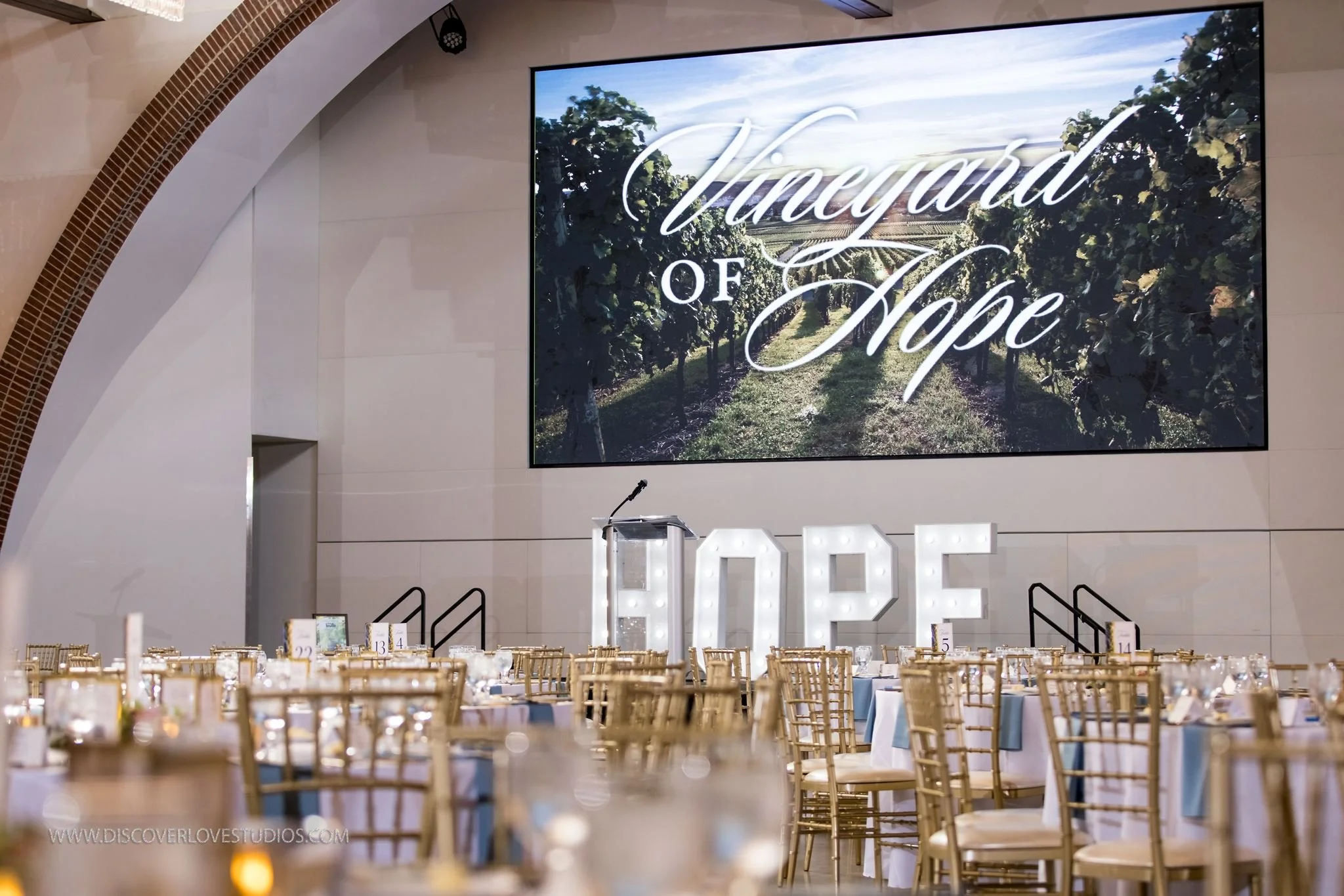 Seven Years of Vineyard of Hope: Event Photography for Catholic Charities, Diocese of Charlotte