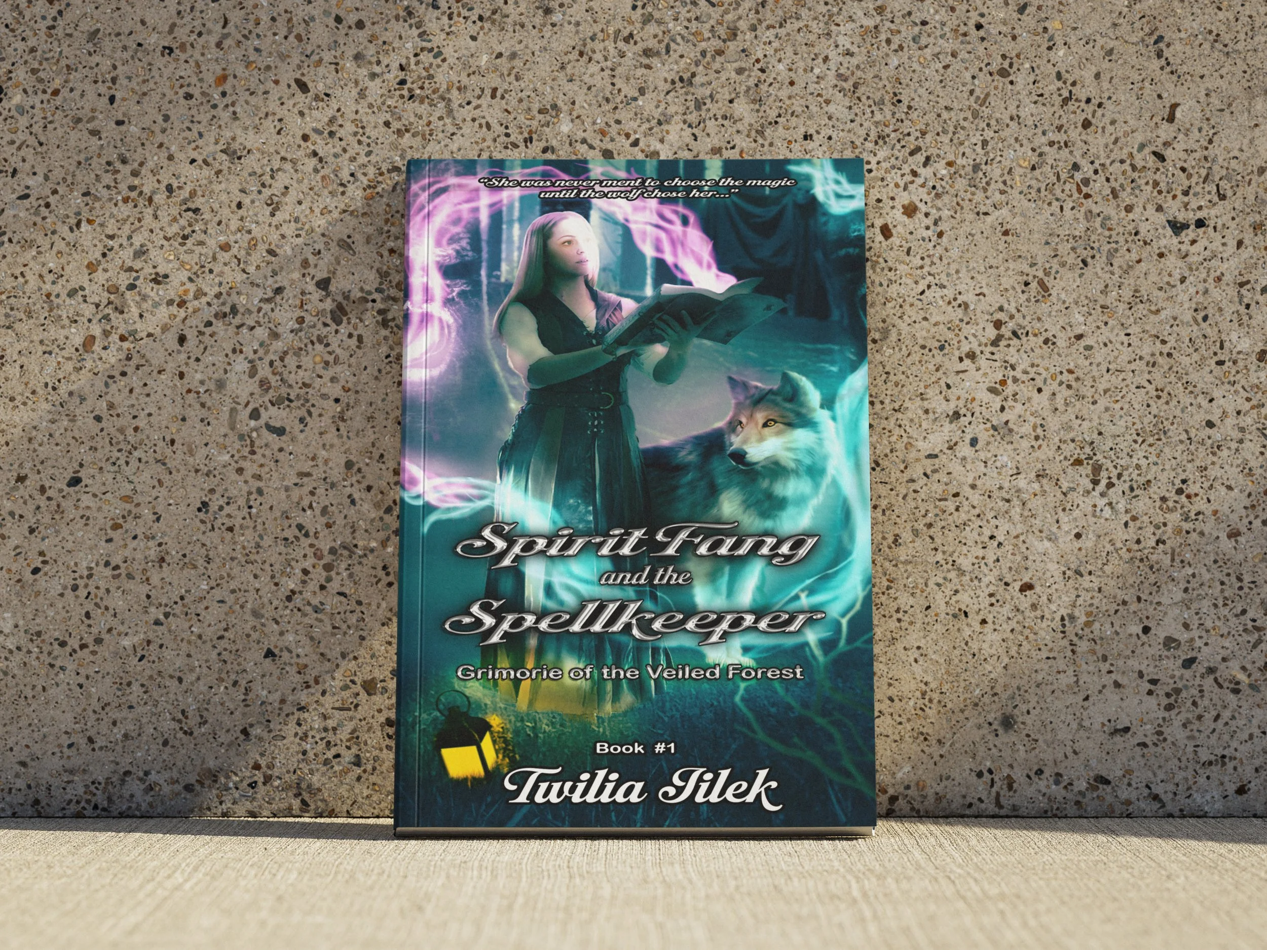 creative fantasy book cover.