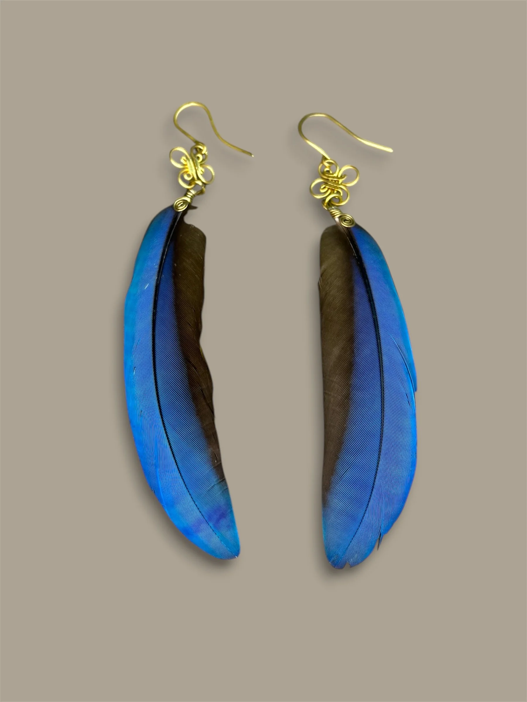 Plumas de Wacomaya