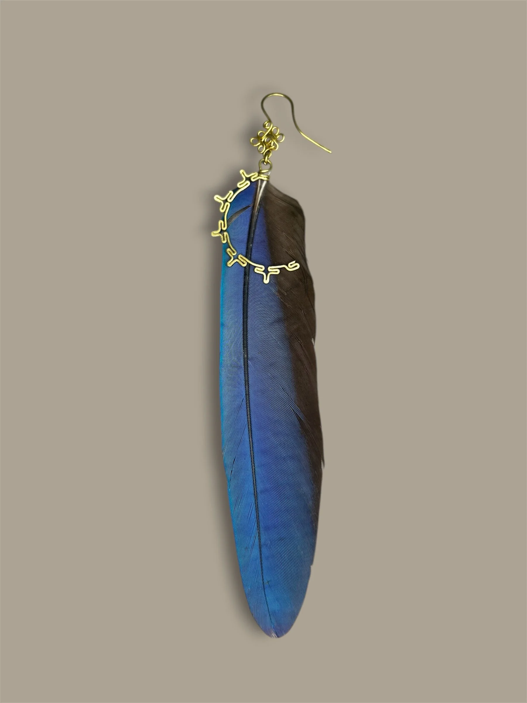Plumas de Wacomaya