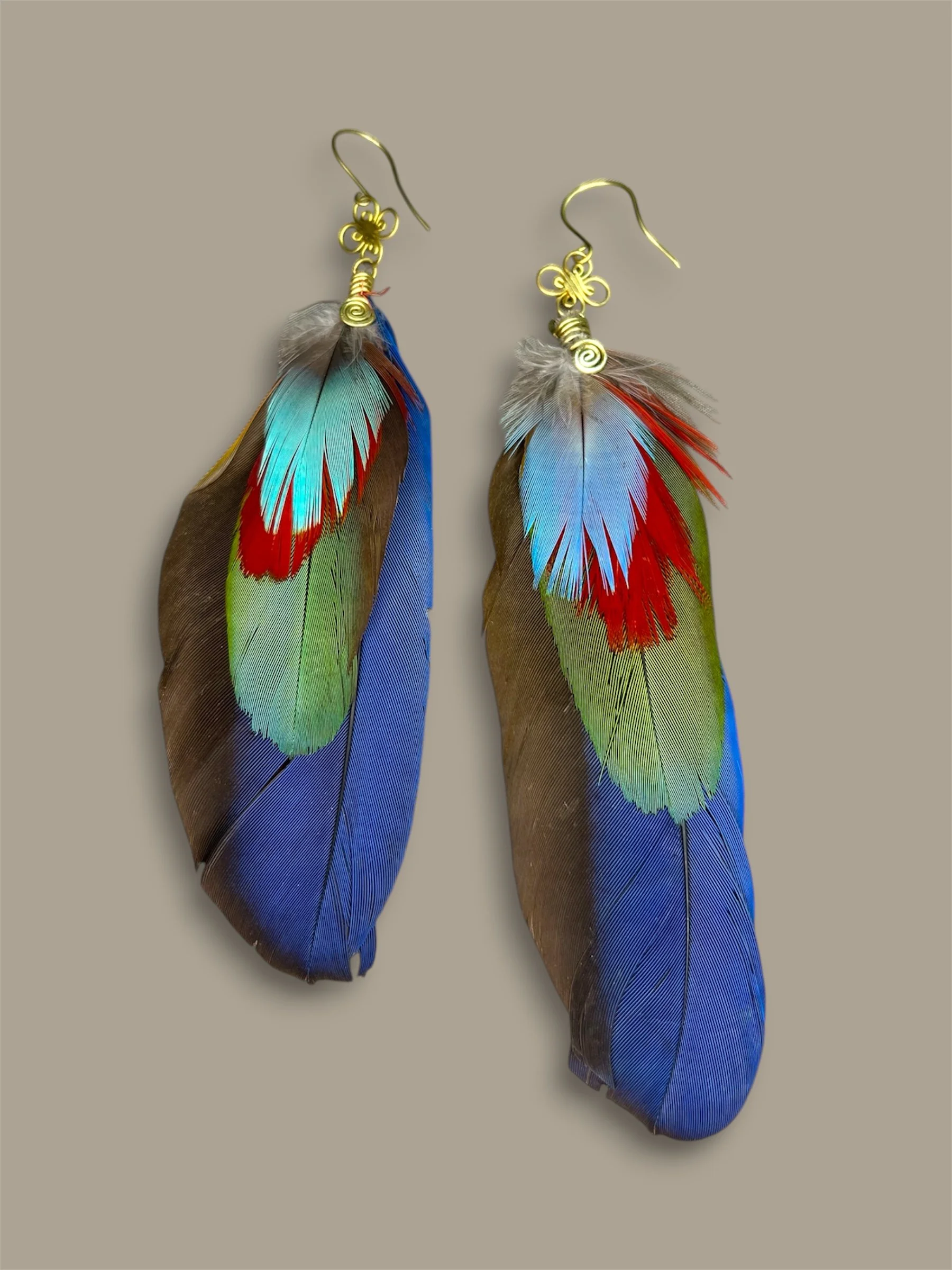 Plumas de Wacomaya