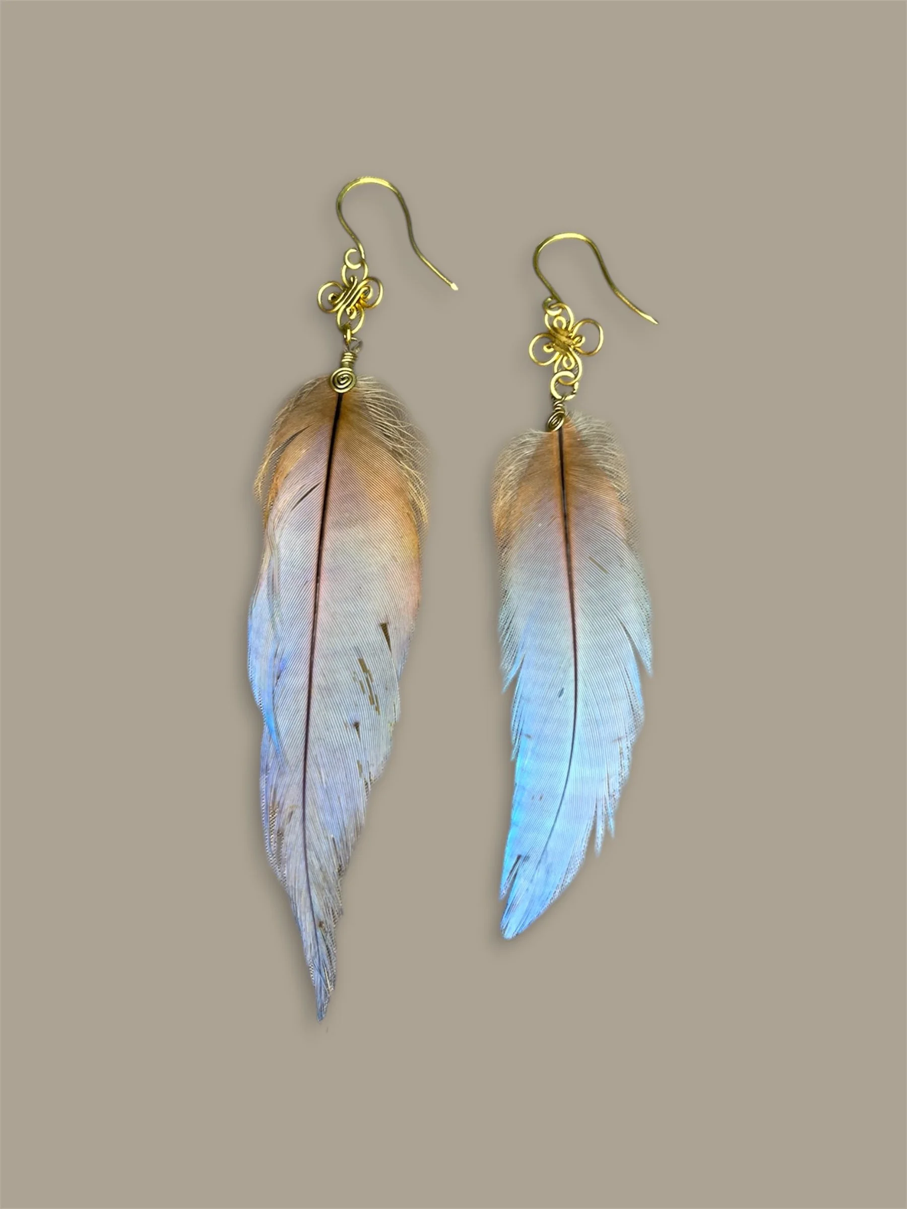 Plumas de Wacomaya