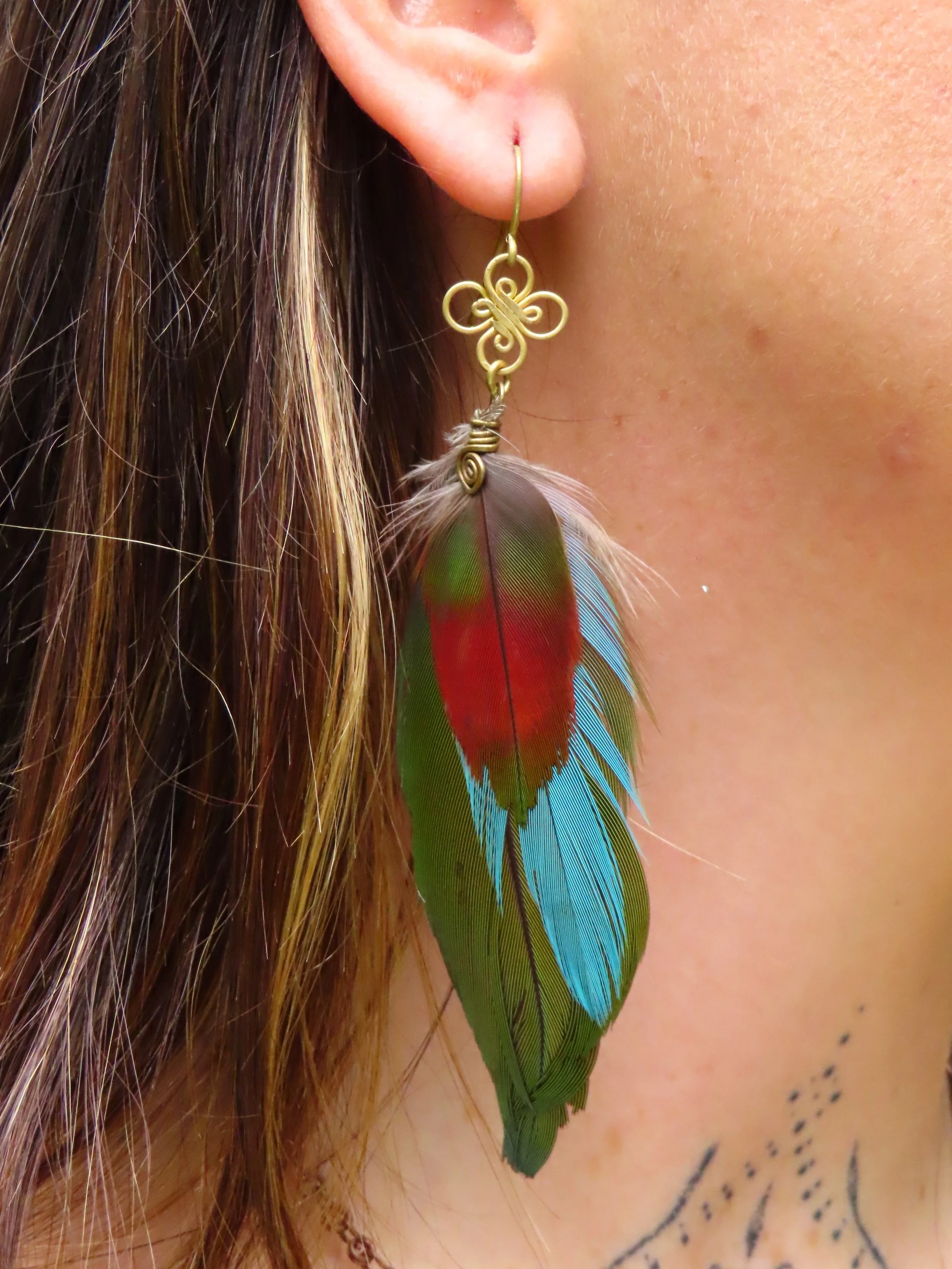 Plumas de Wacomaya