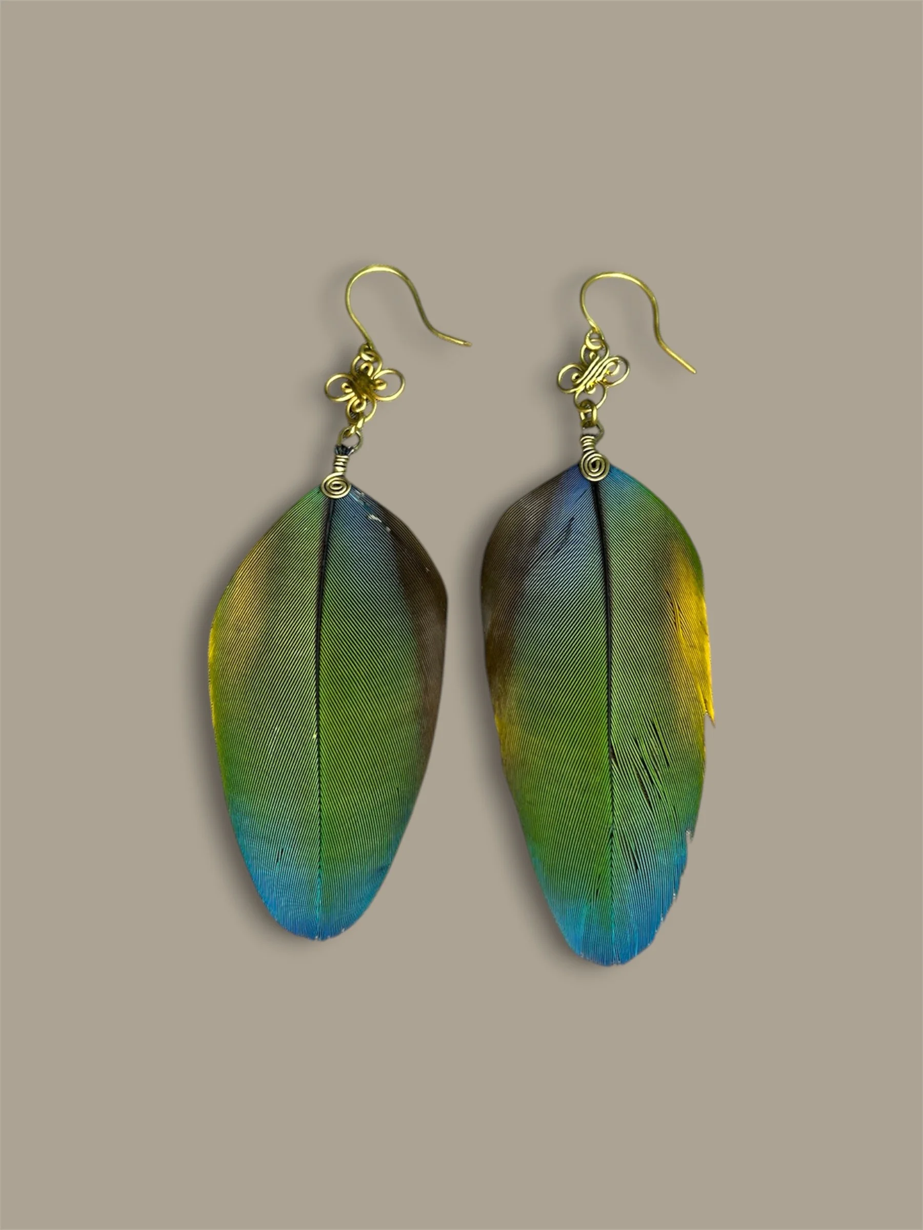 Plumas de Wacomaya