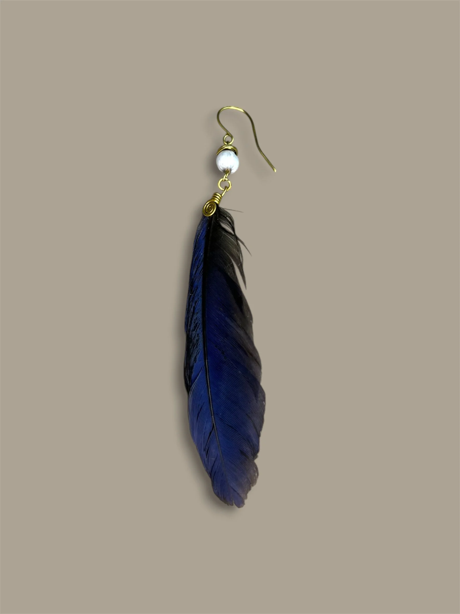 Plumas del Cotinga