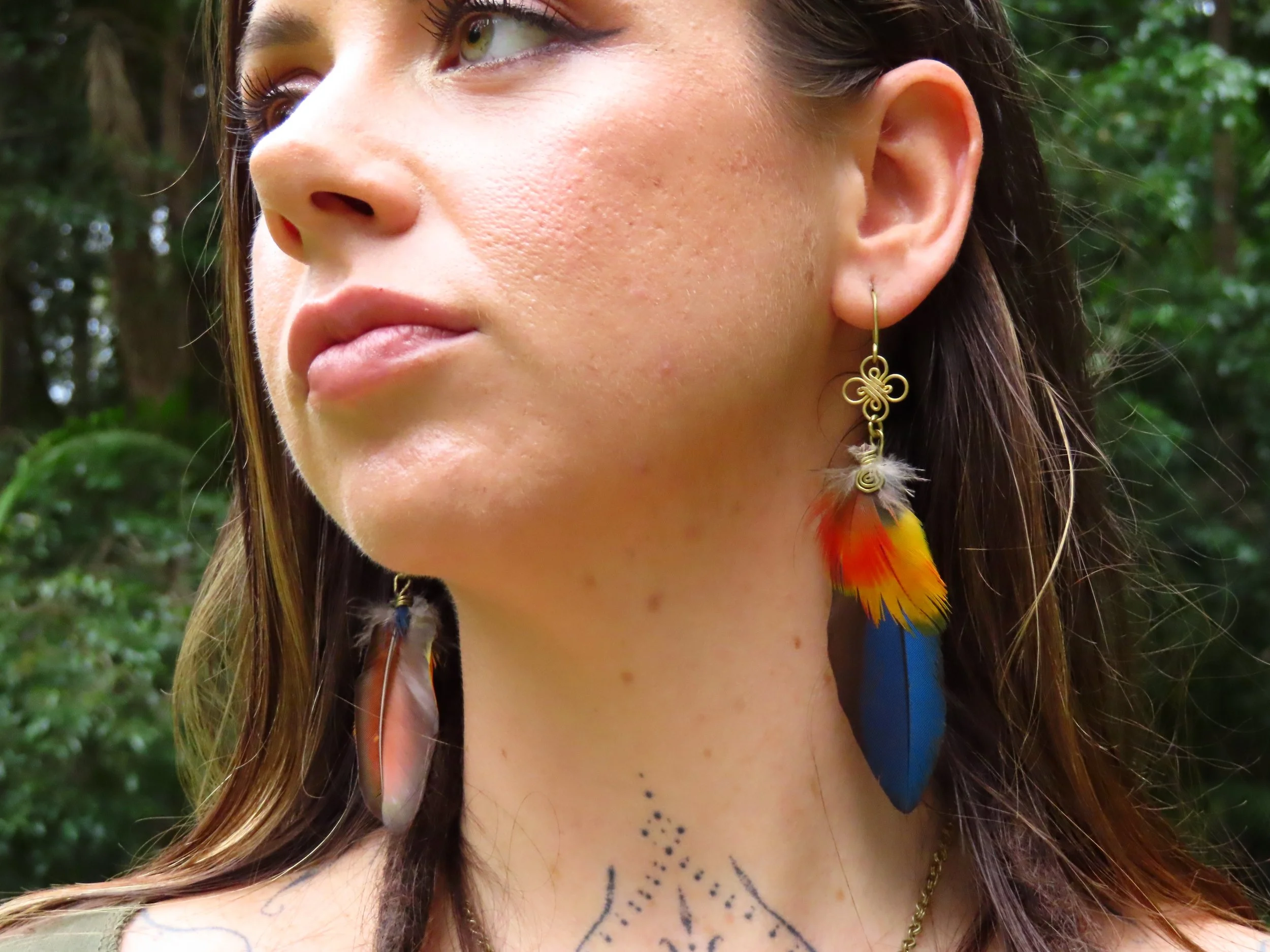 Plumas de Wacomaya