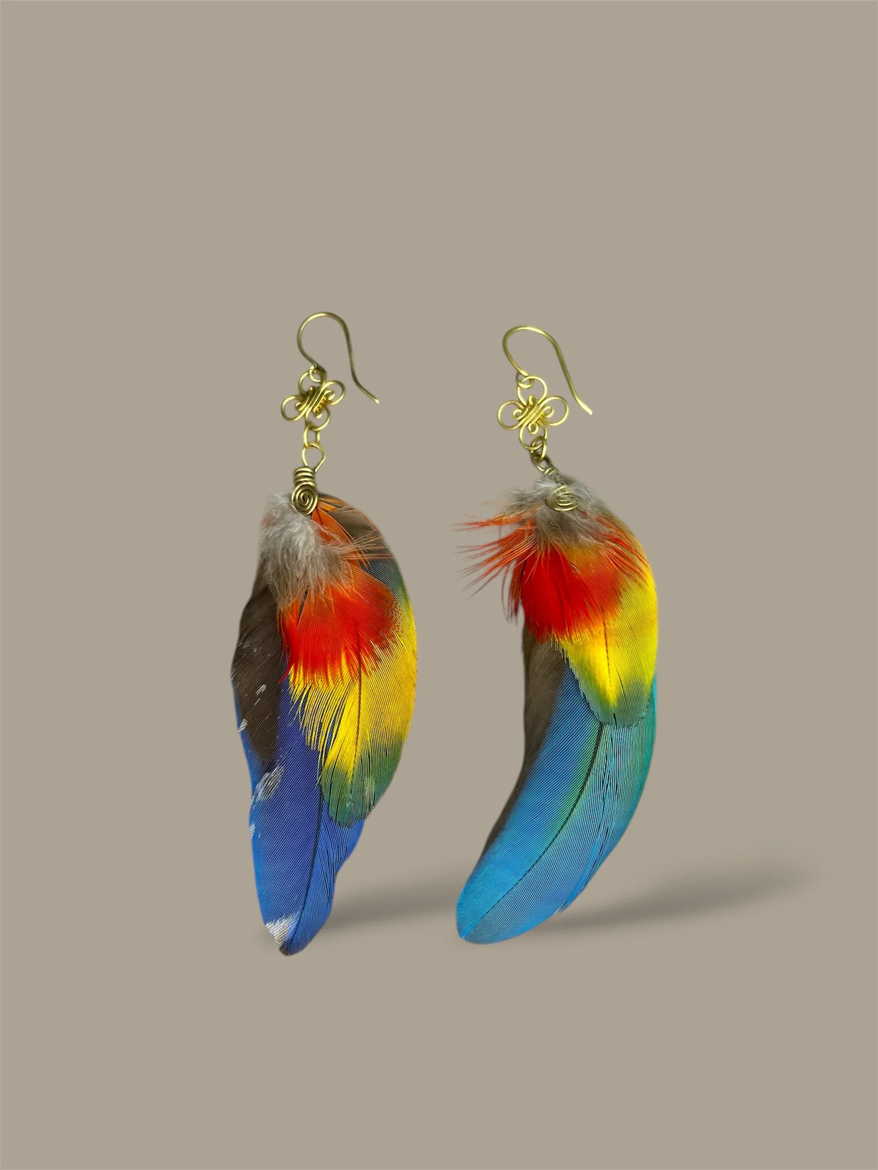 Plumas de Wacomaya