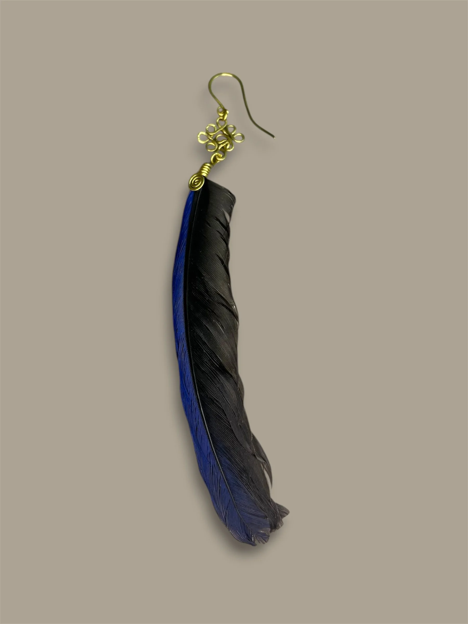 Plumas del Cotinga