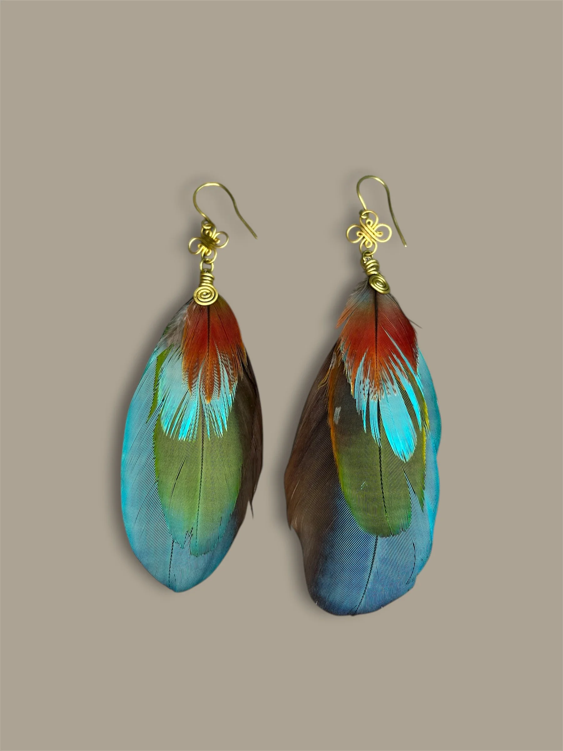 Plumas de Wacomaya