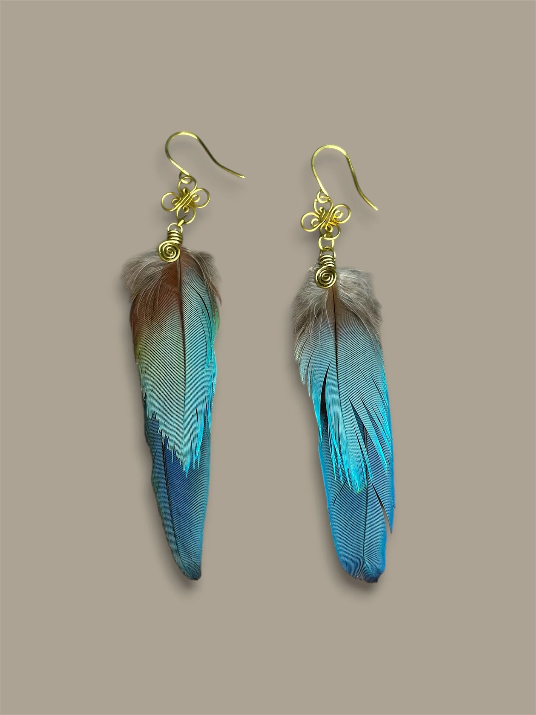 Plumas de Wacomaya