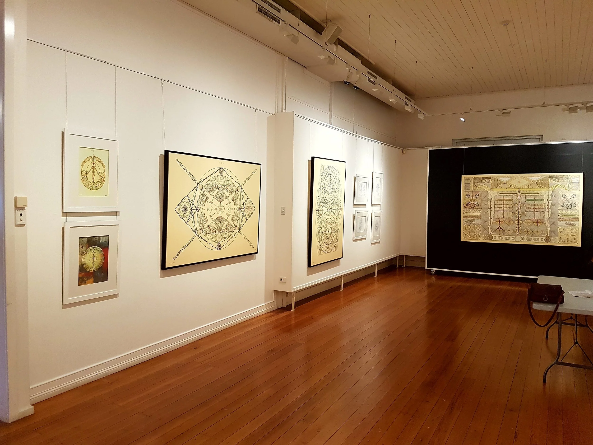 Genesis #17 - Regional Gallery Exhibition