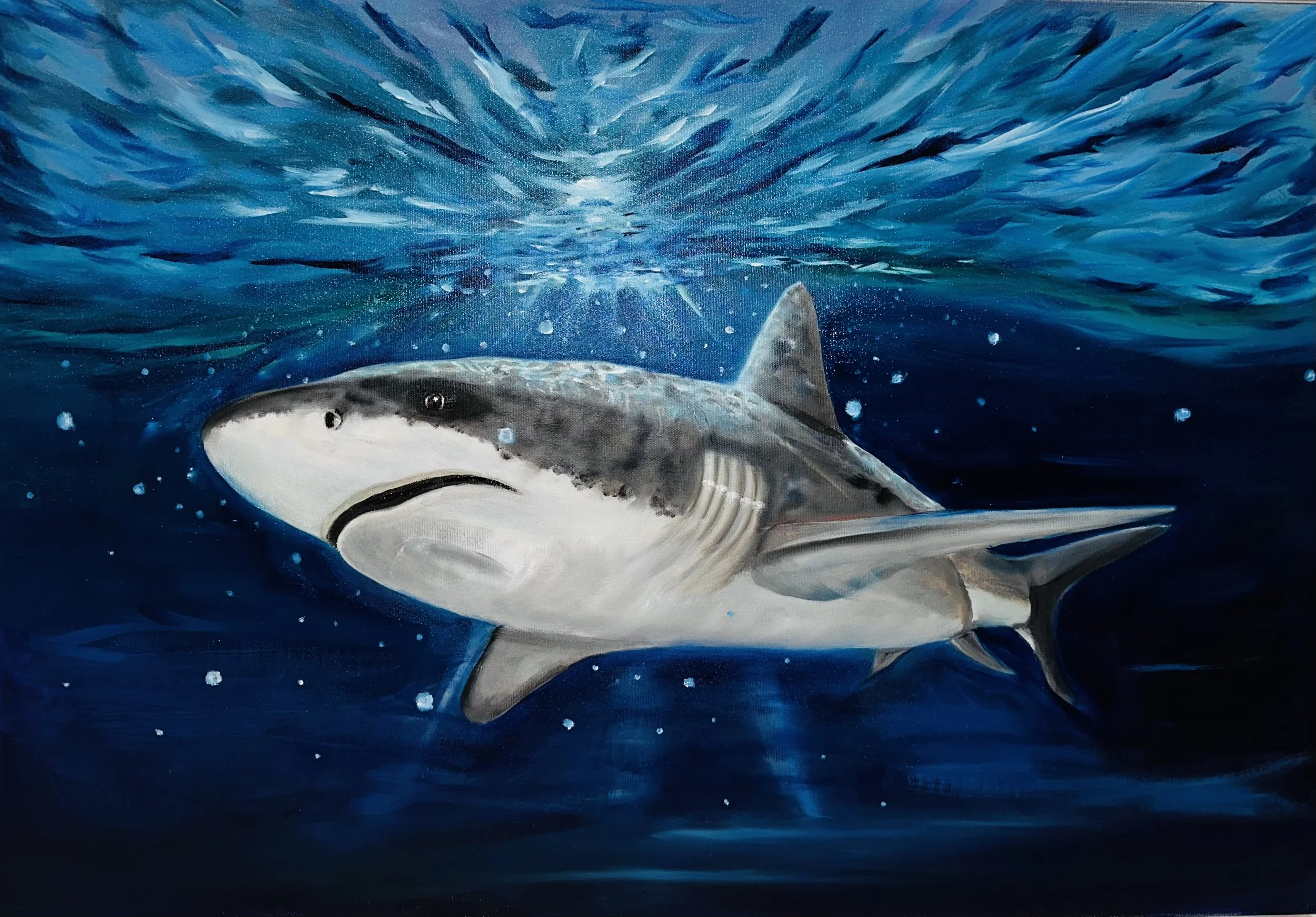 Beneath the Surface