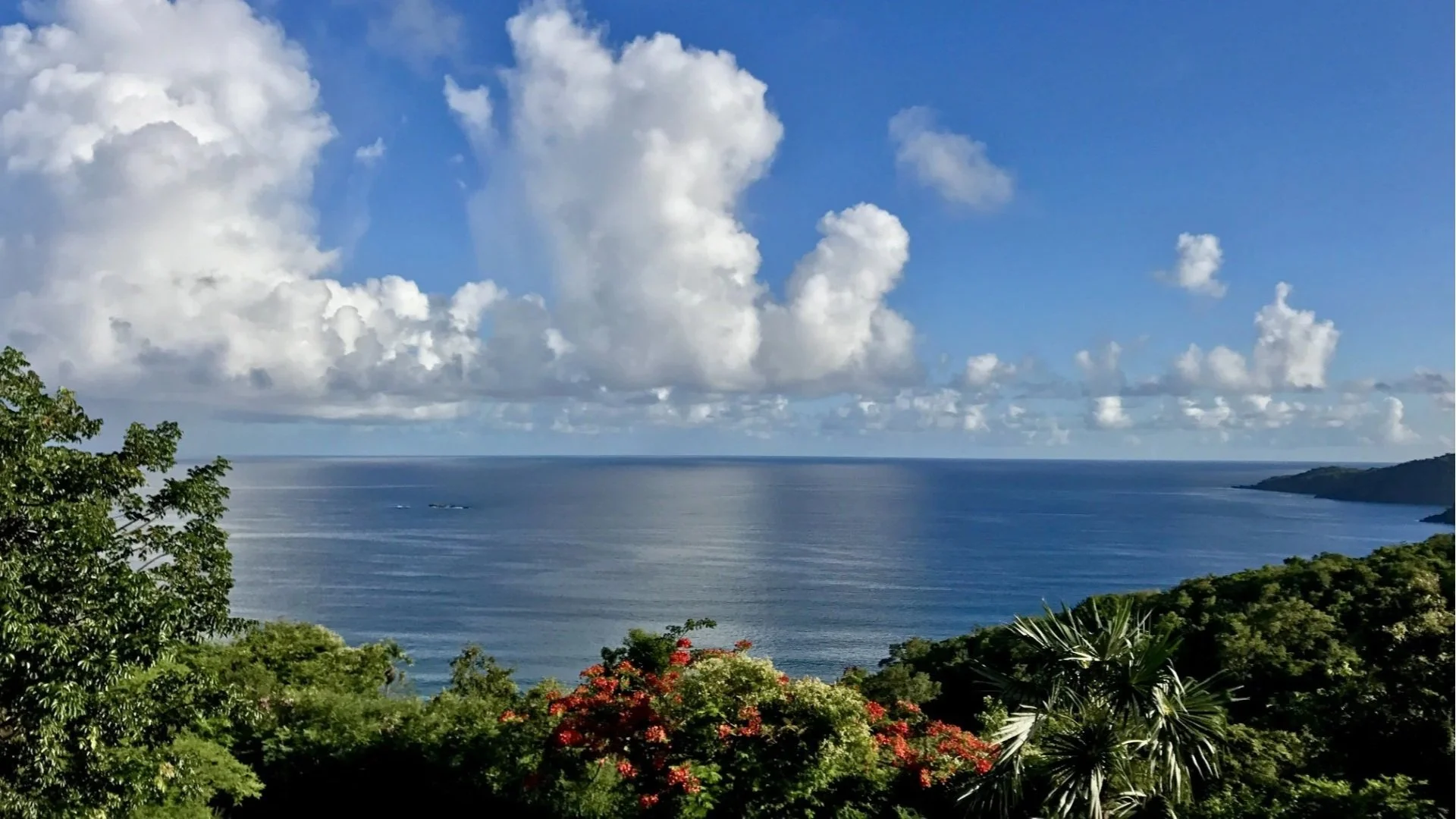 Scenic view of the ocean with a partly cloudy sky, lush green trees, and flowering bushes in the foreground.