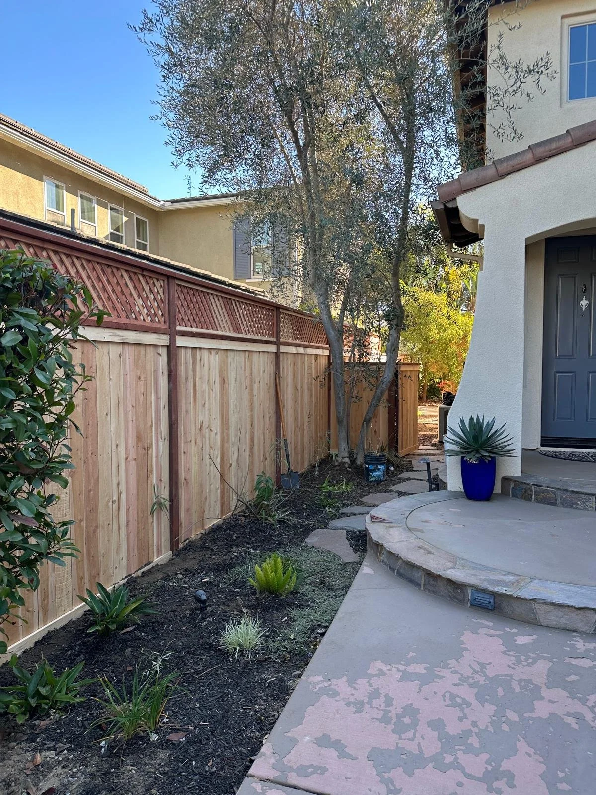 WhatsApp Image 2026-03-17 at 10.47.55 PM.jpeg