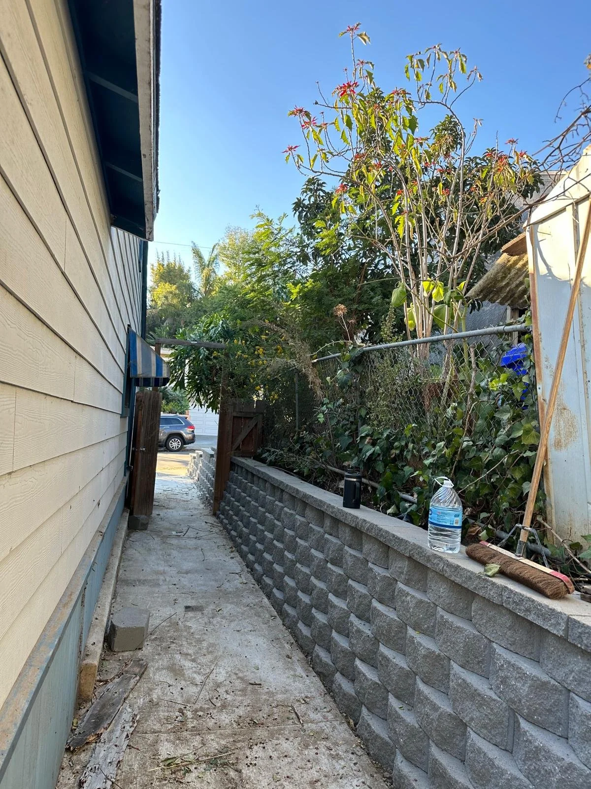 WhatsApp Image 2026-03-17 at 10.42.50 PM (2).jpeg