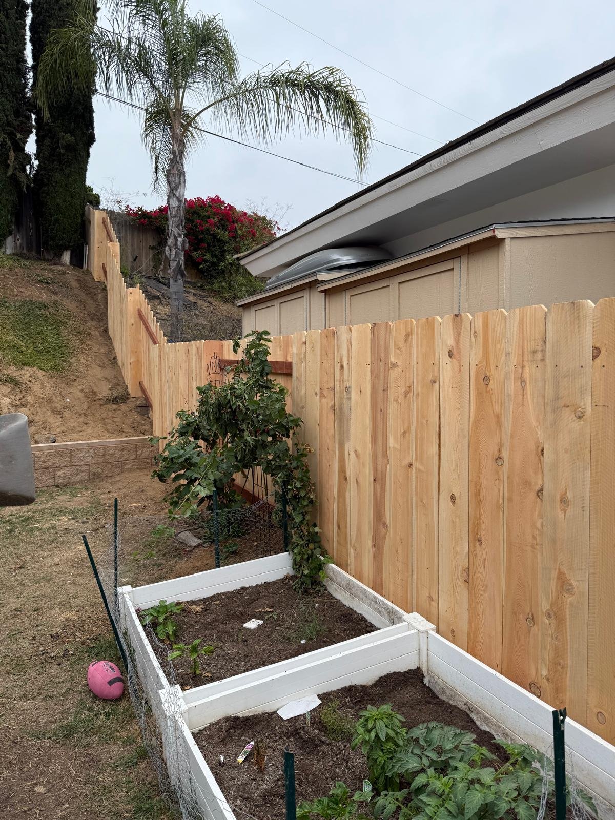 WhatsApp Image 2026-03-17 at 10.47.38 PM.jpeg