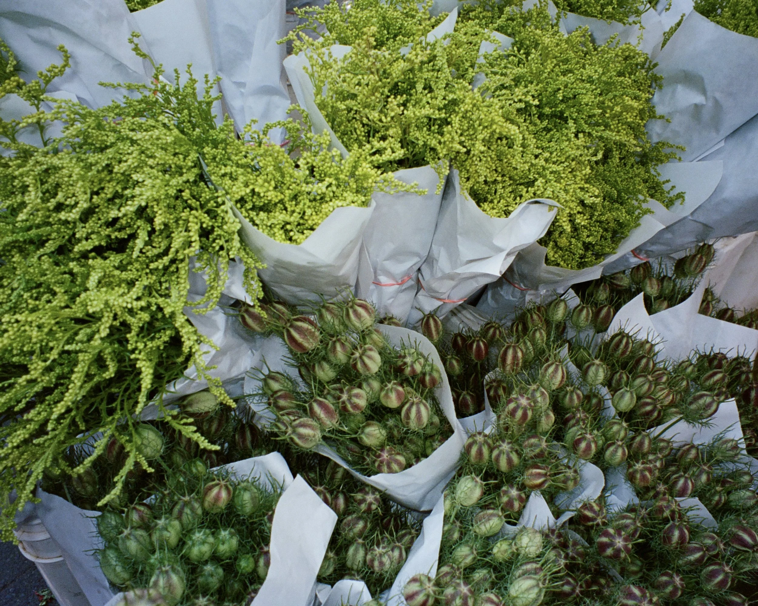 A photo of two types of green flowers at a farmer's market