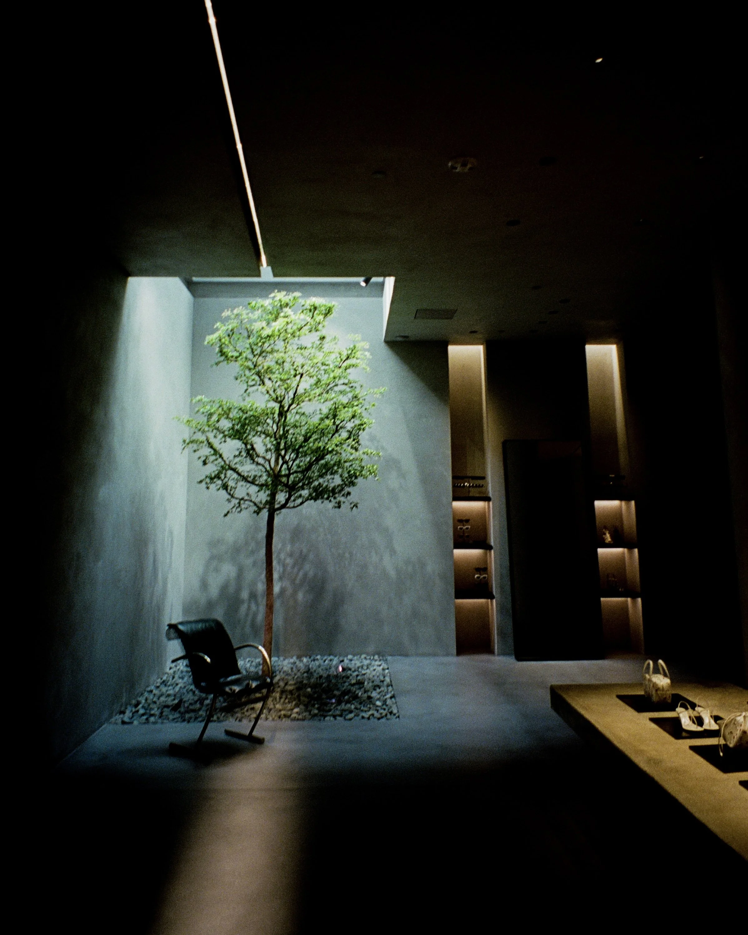 A tree growing inside of the Khaite store in SoHo