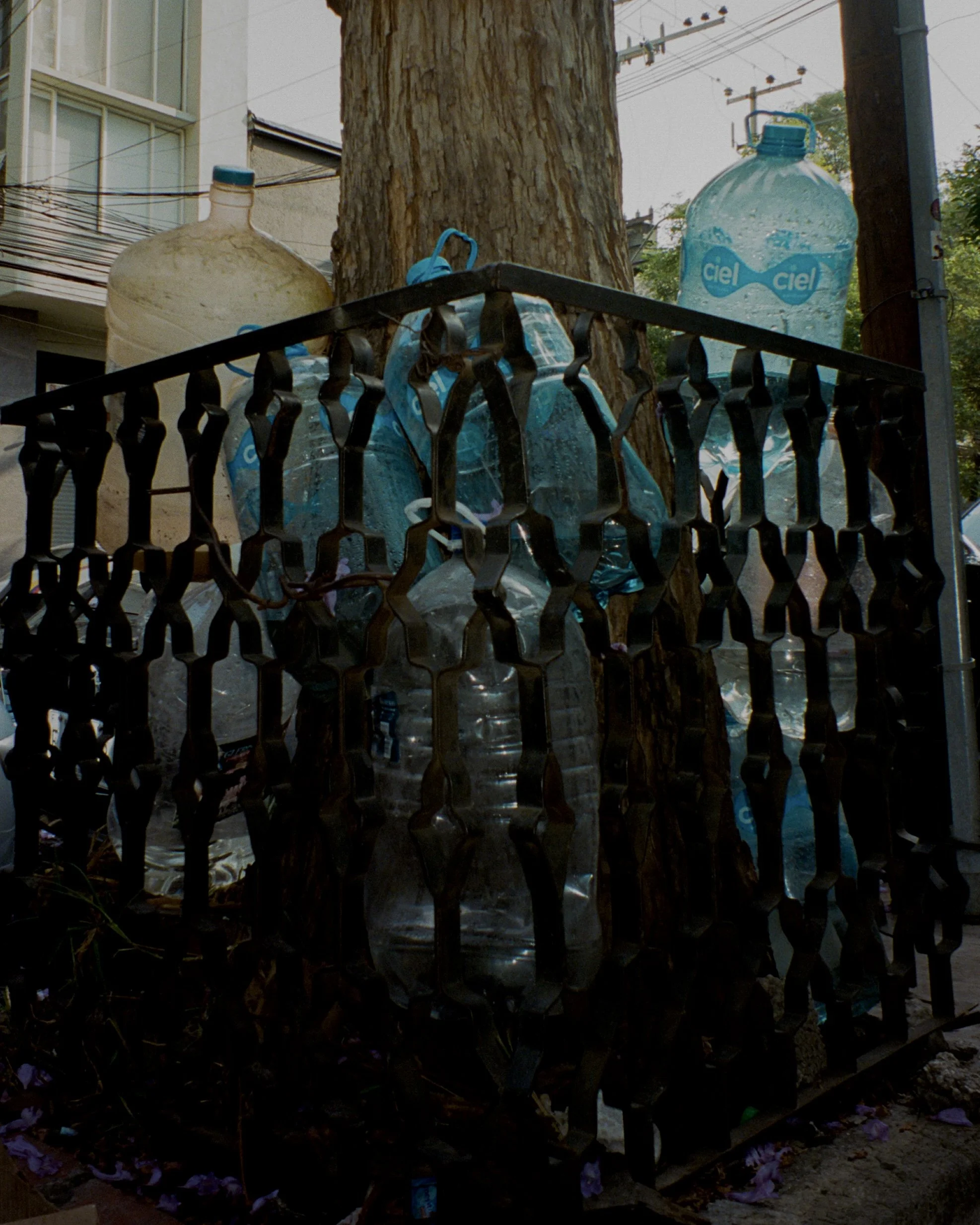 A grate full of plastic bottles surrounding a tree trunk
