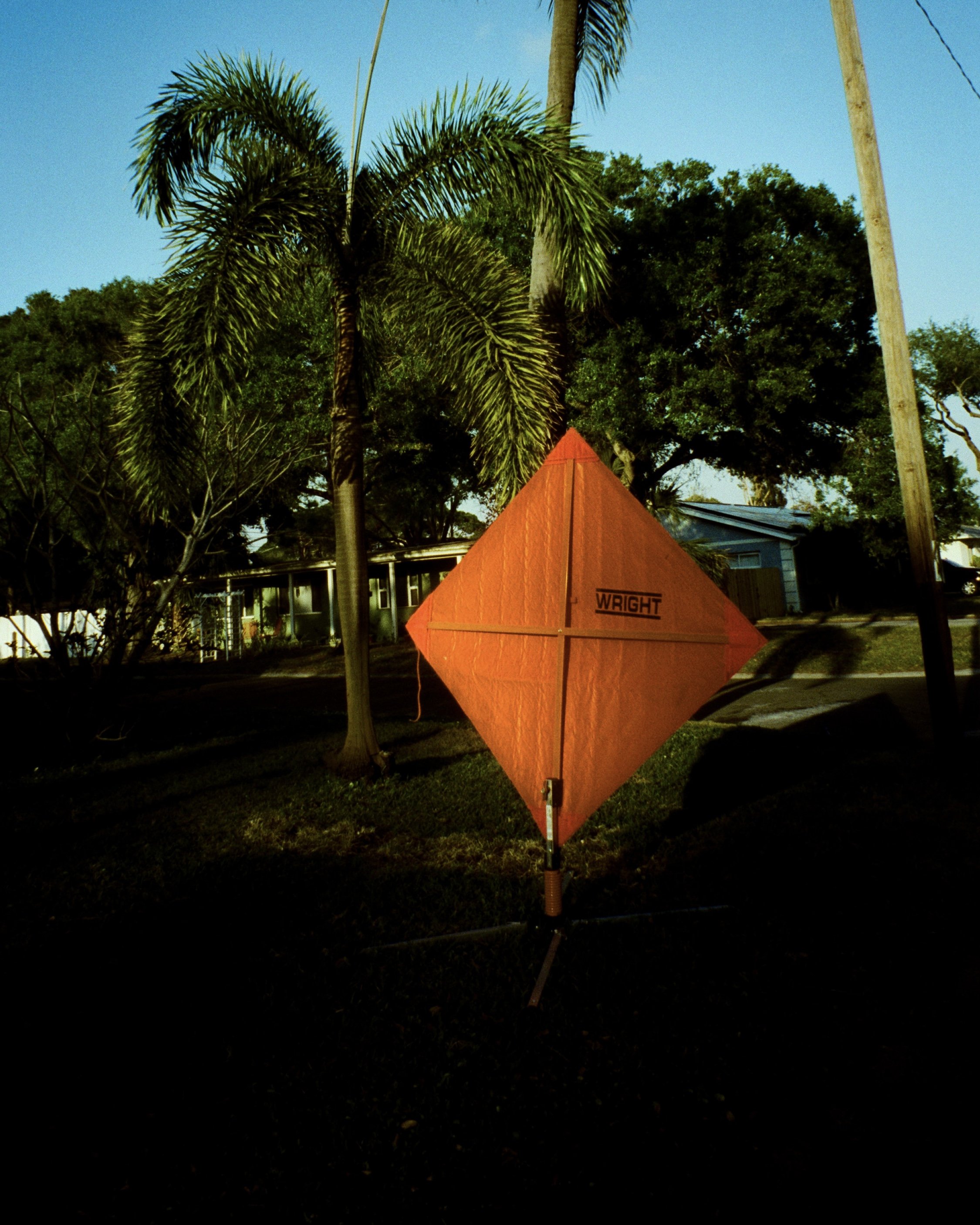 A large orange traffic sign in front of a palm tree