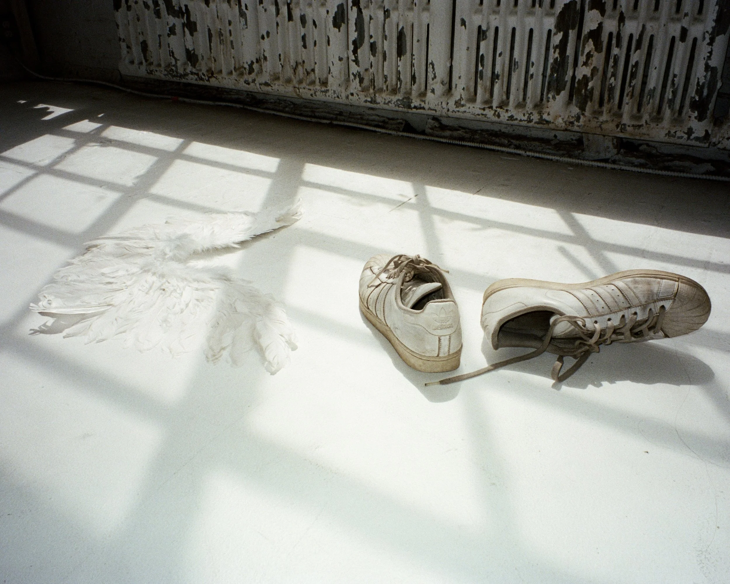 A pair of angel wings on the ground next to a pair of dirty white sneakers