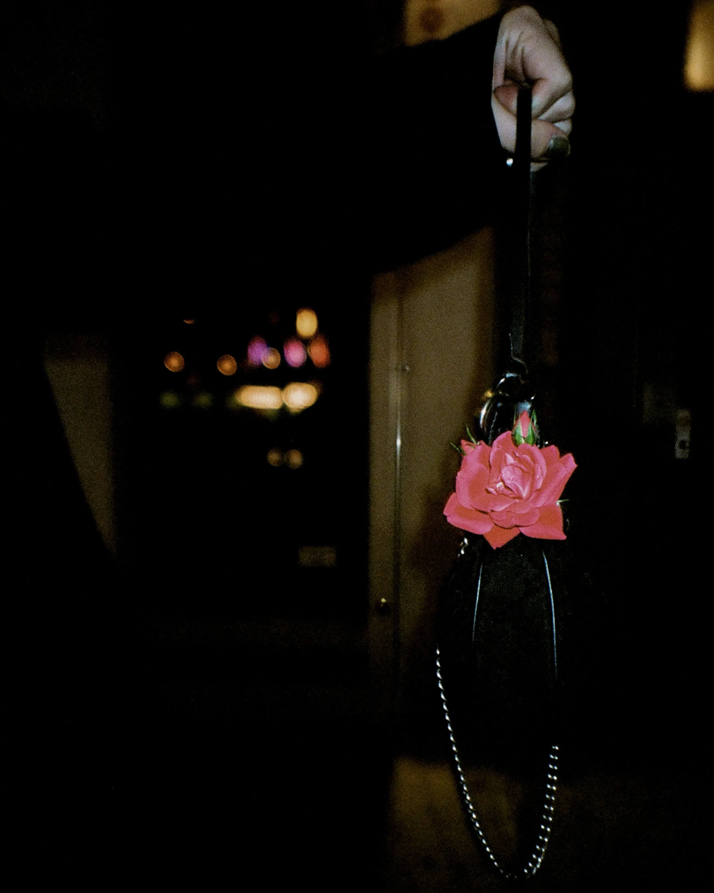 A flower inside a purse at night time