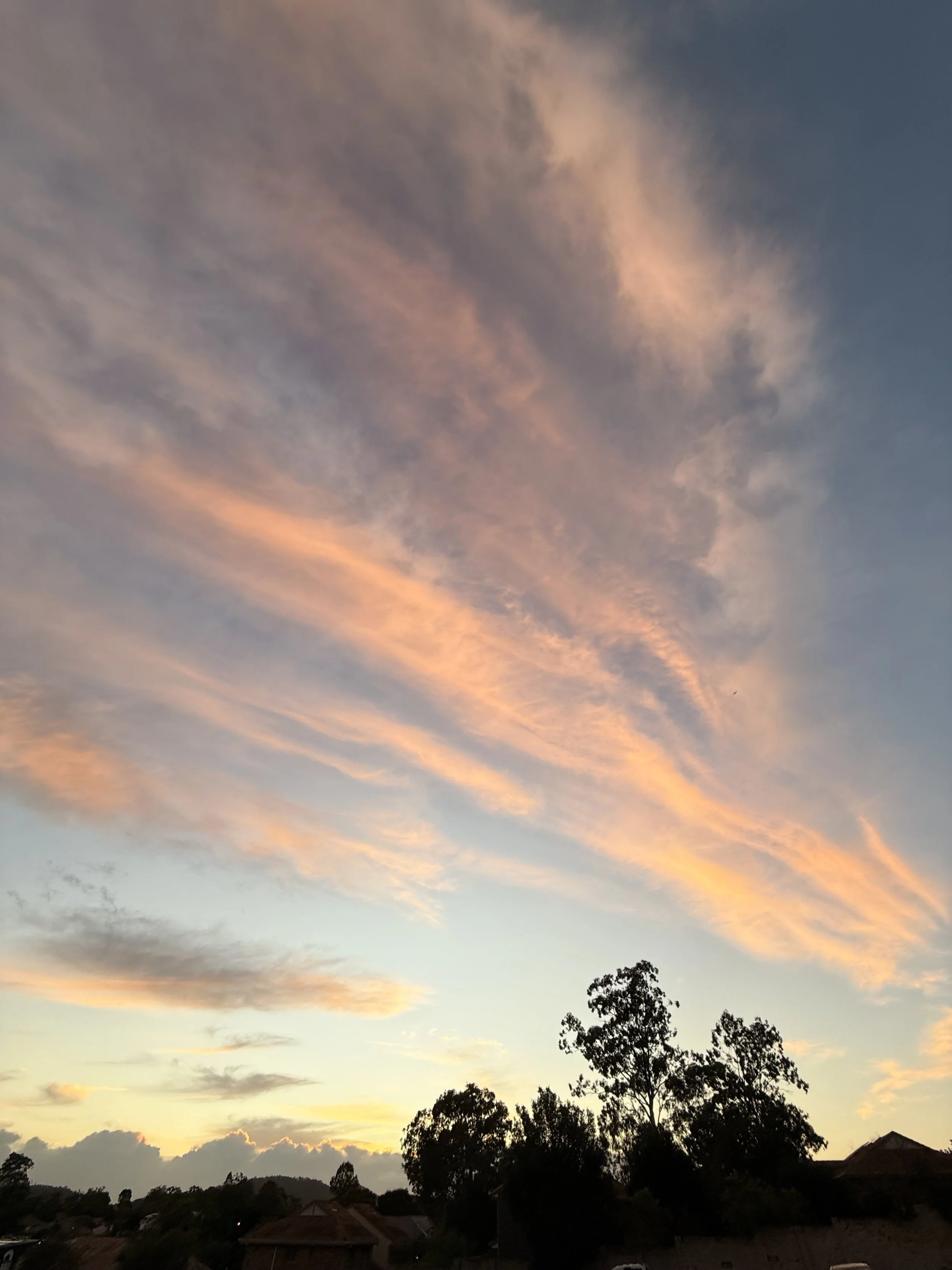 IMG_3490.jpeg