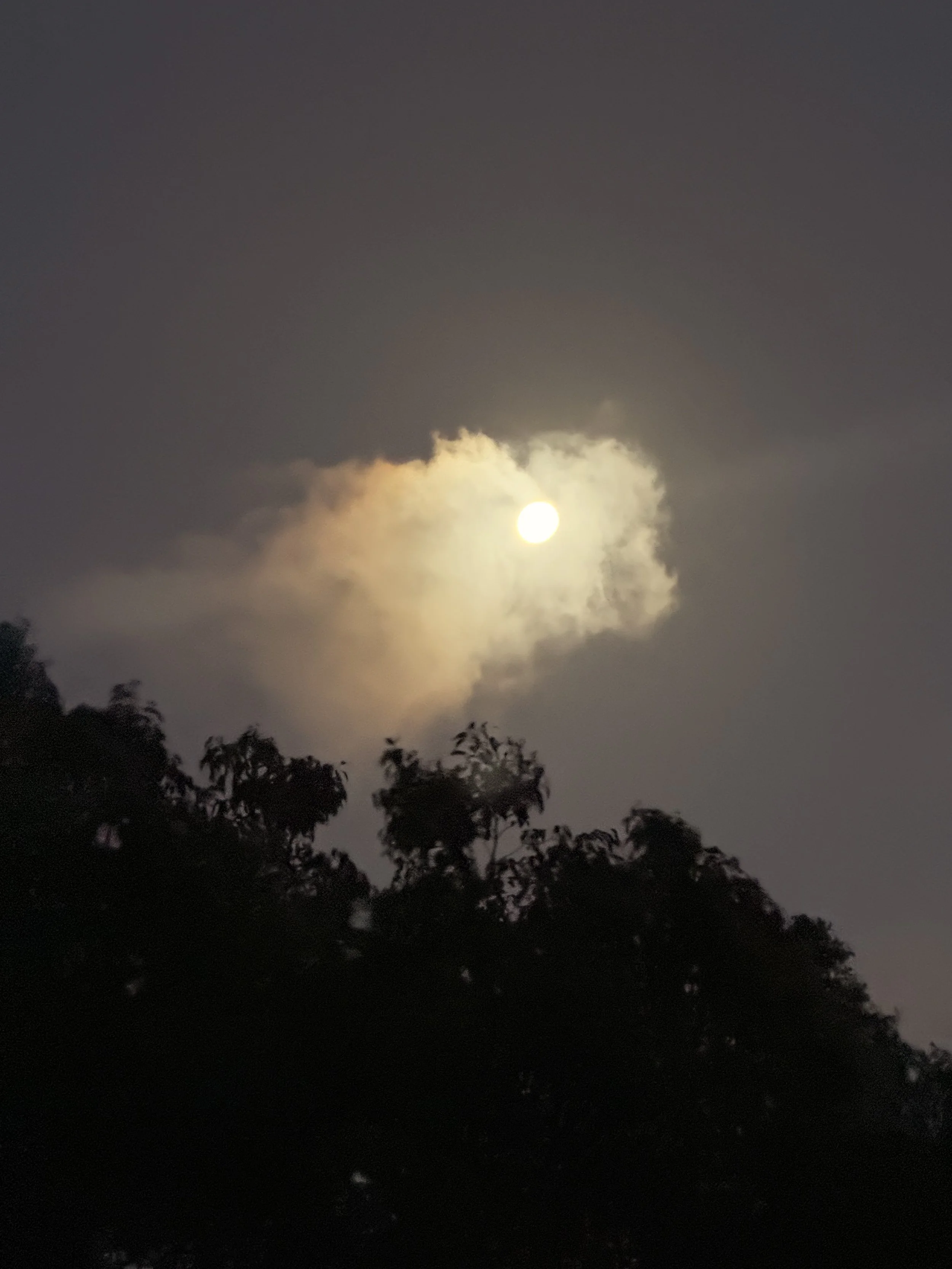 IMG_3861.jpeg