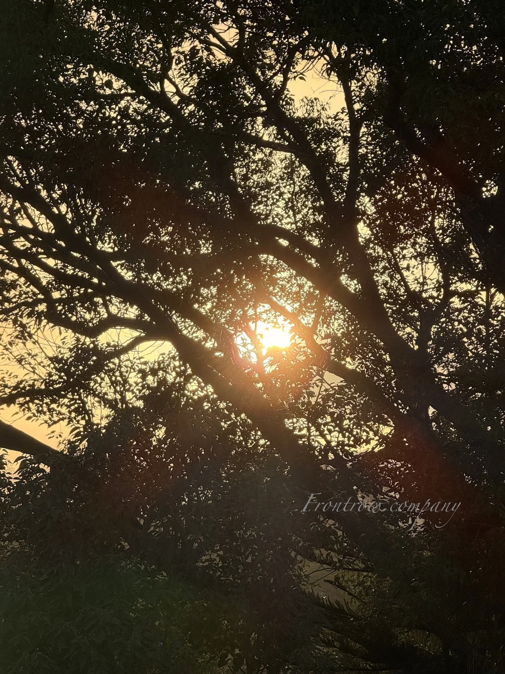 IMG_4280.jpeg