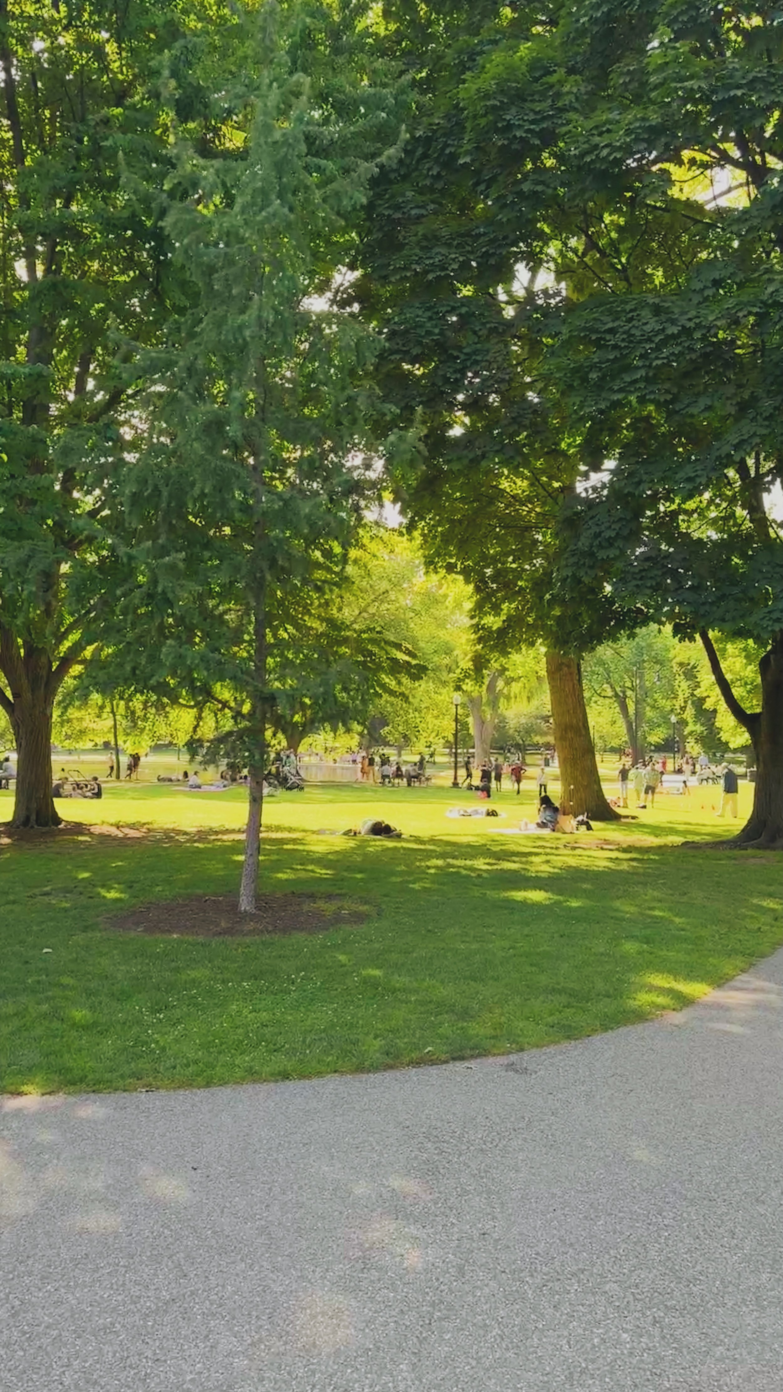 Portfolio - 5 of 27.jpeg