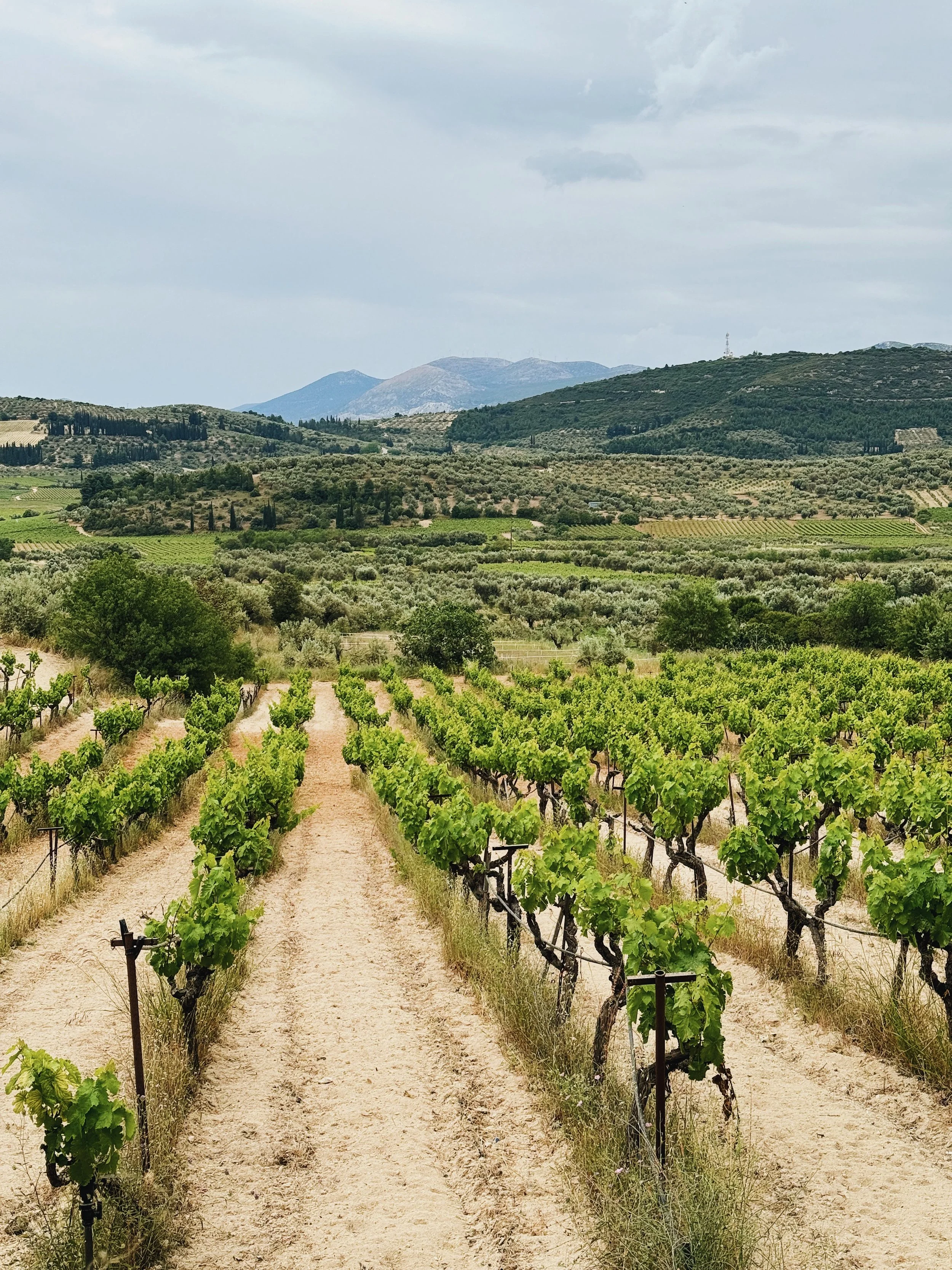 Portfolio - 7 of 27.jpeg