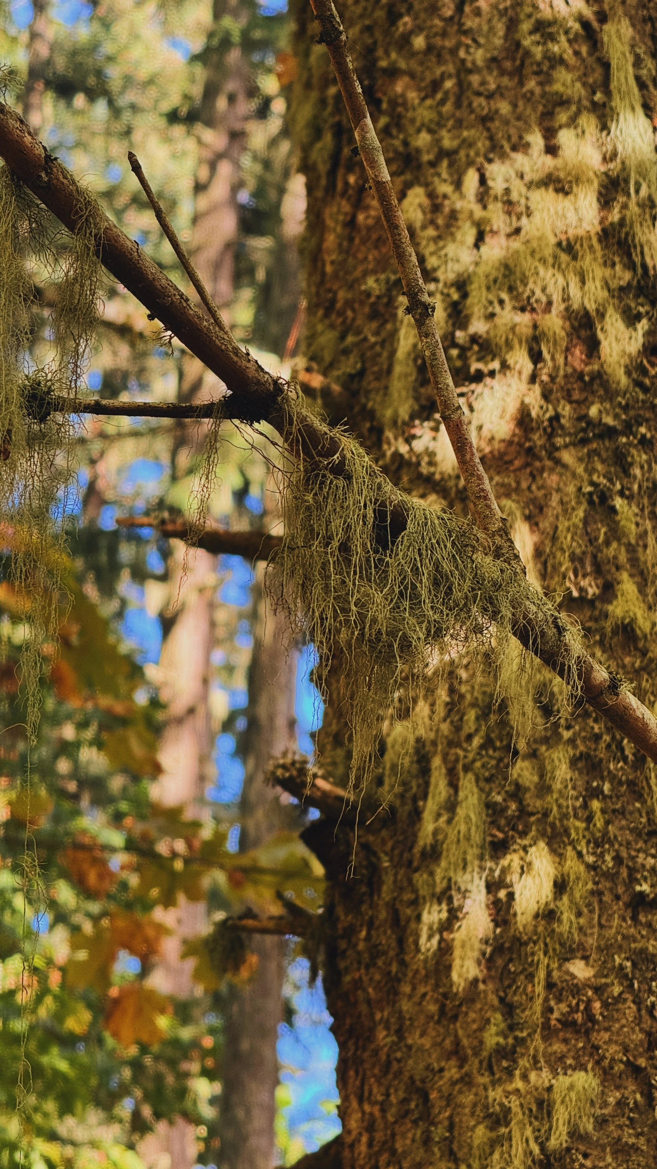 Portfolio - 3 of 27.jpeg