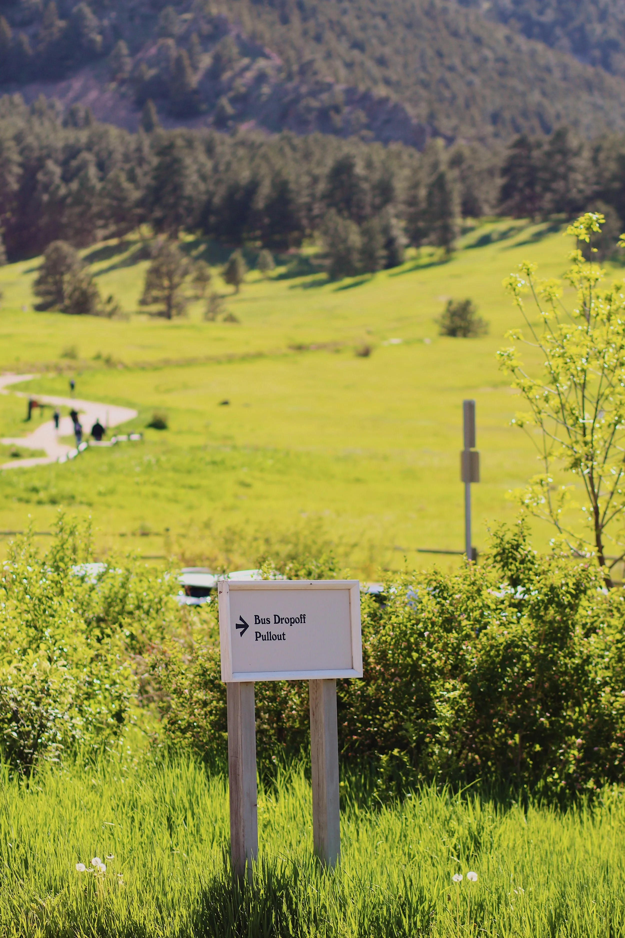 Portfolio - 1 of 27.jpeg