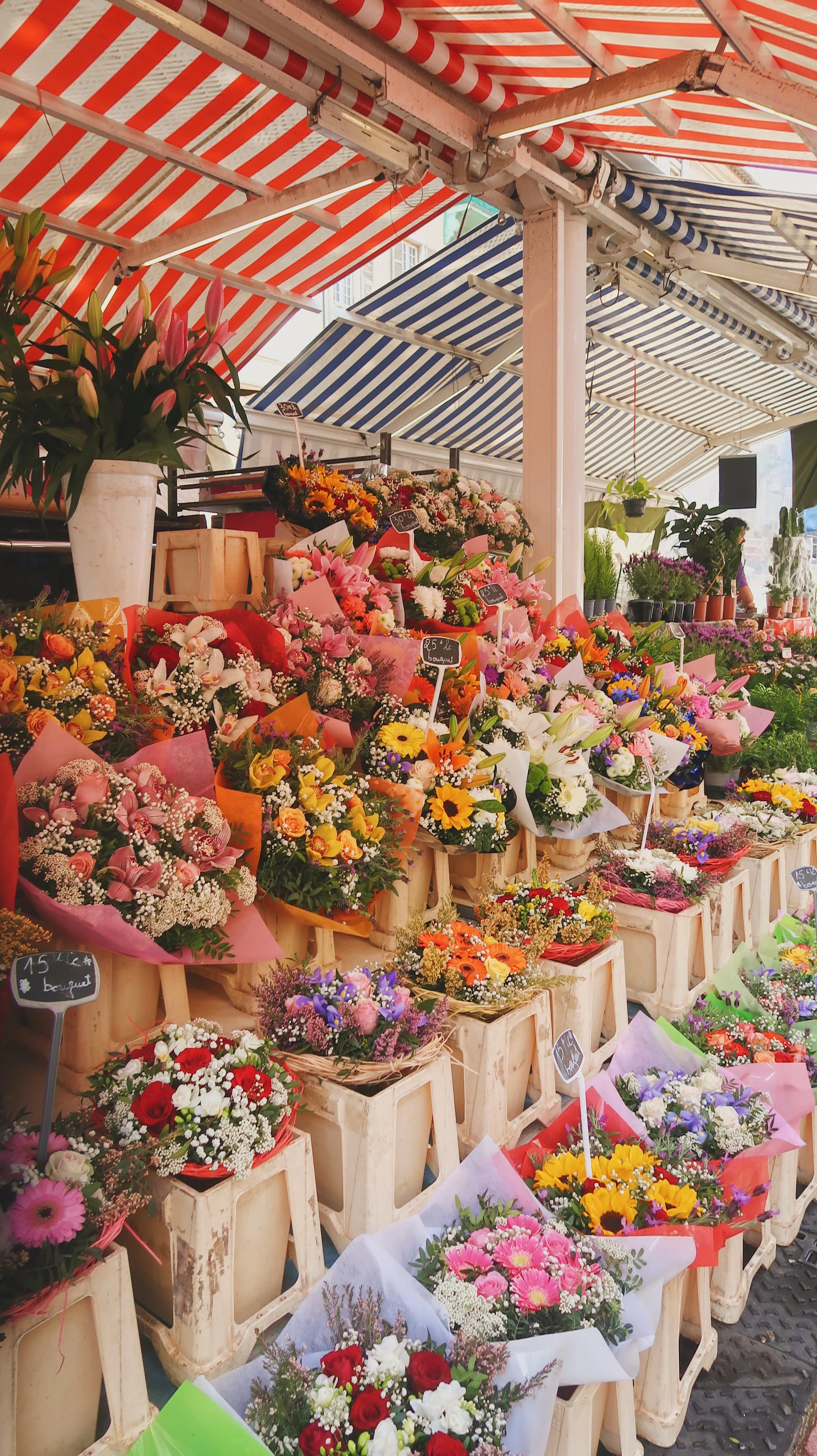 Portfolio - 12 of 27.jpeg