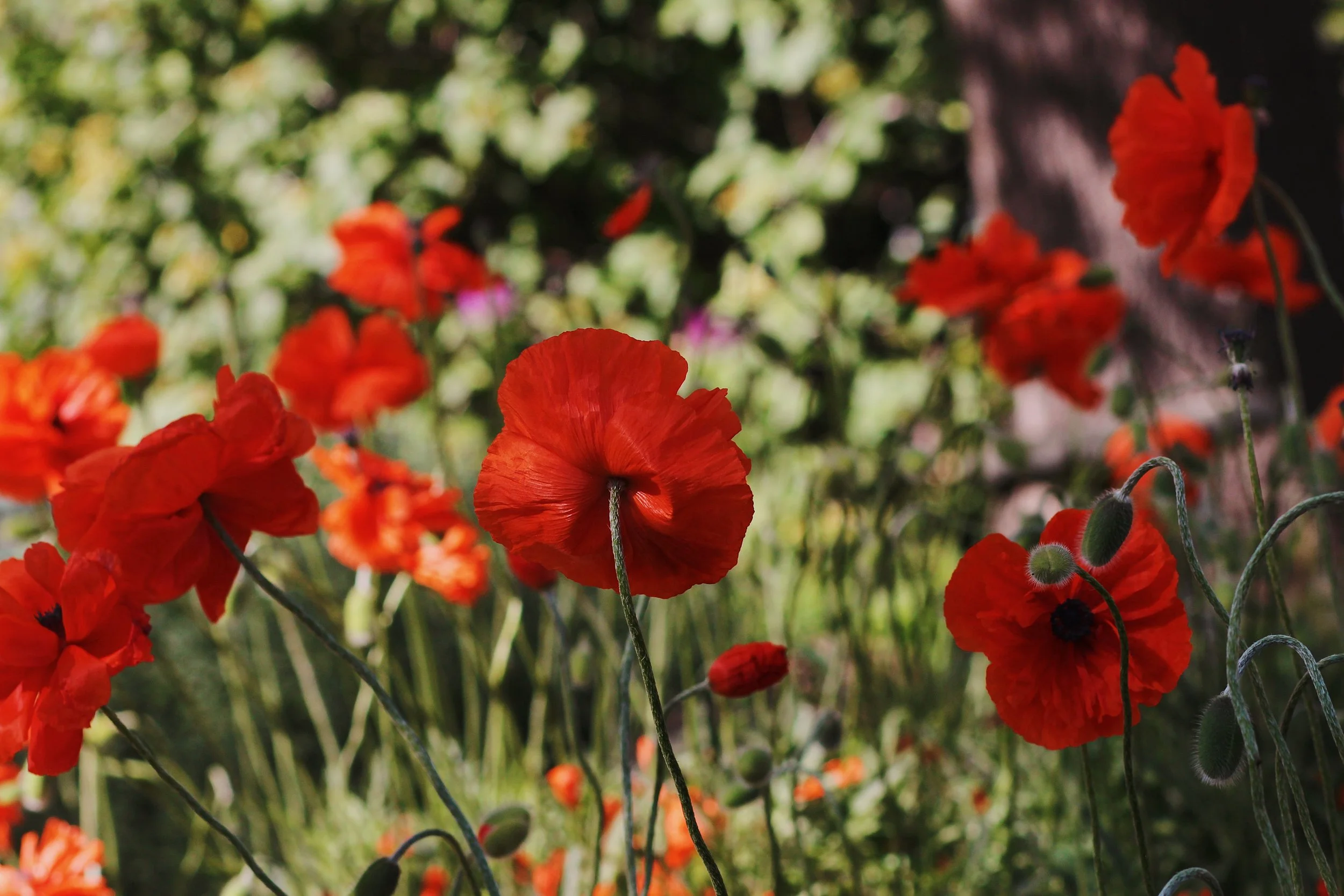 Portfolio - 2 of 27.jpeg