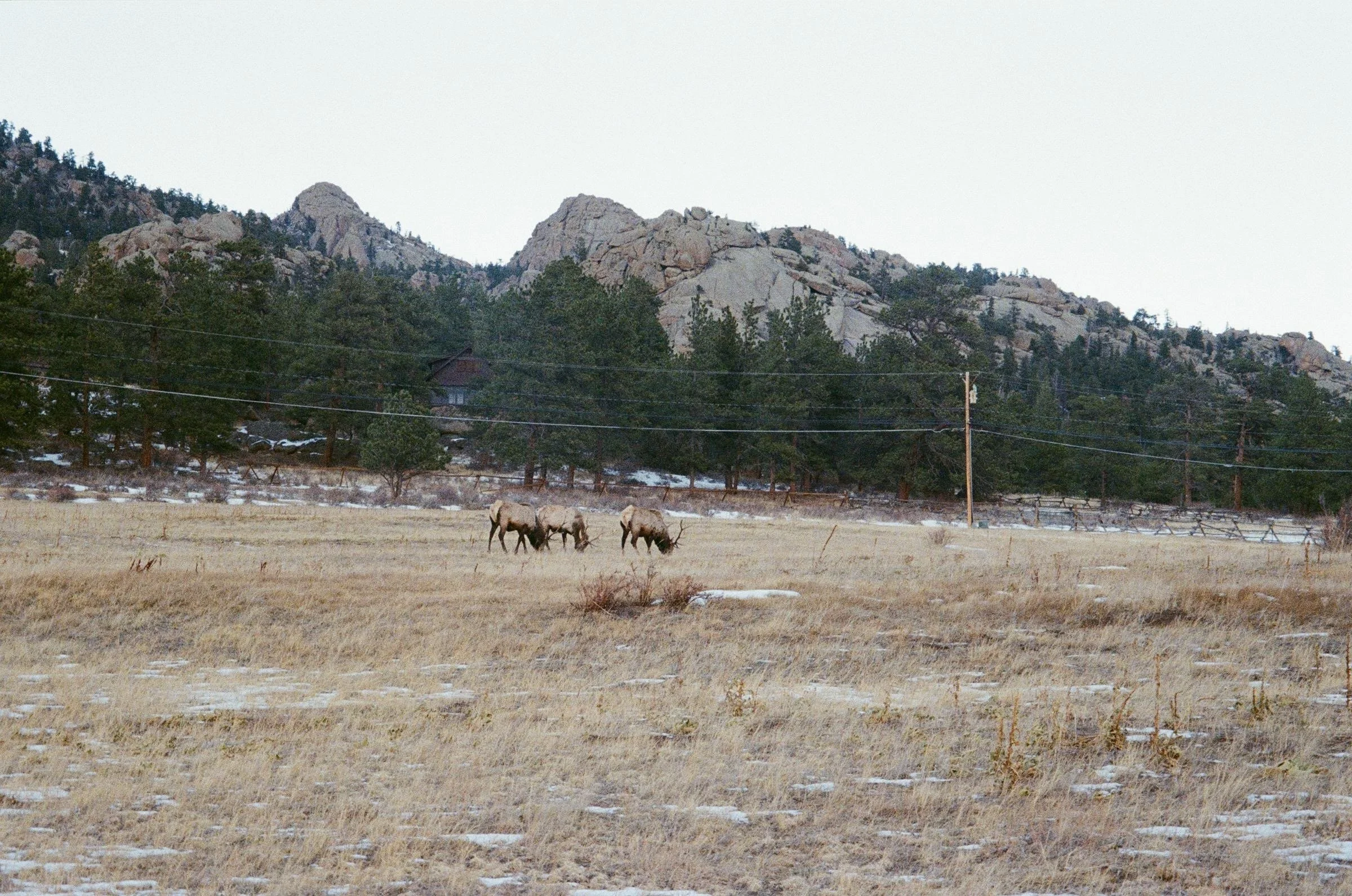 Portfolio - 26 of 27.jpeg