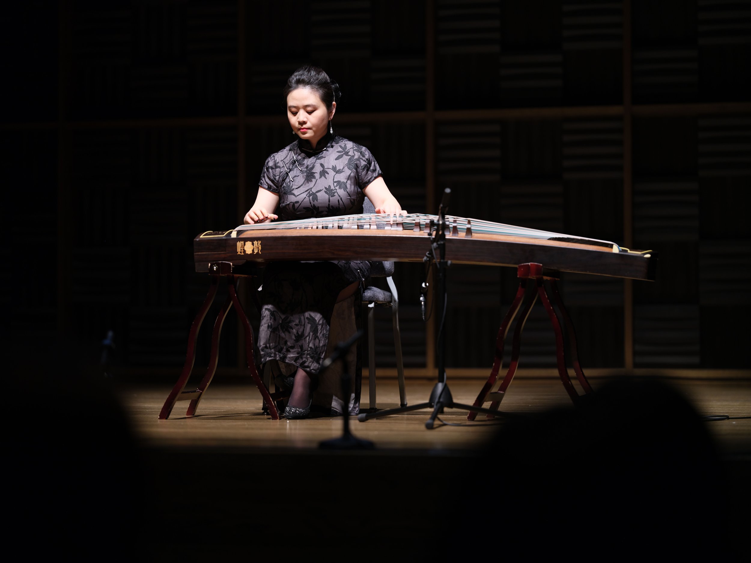 xiajing guzheng.JPG