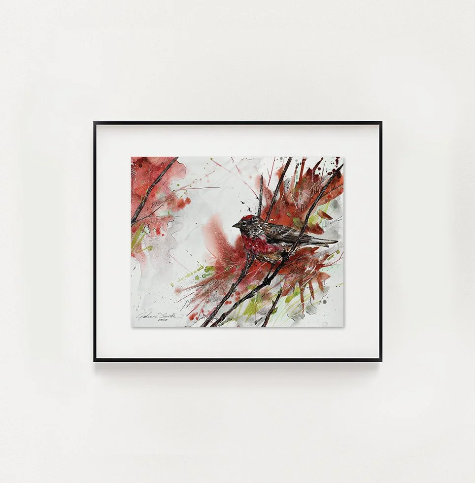 common red black frame.jpg