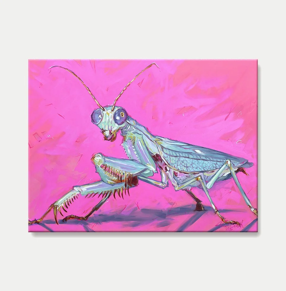 Praying Mantis in Magenta