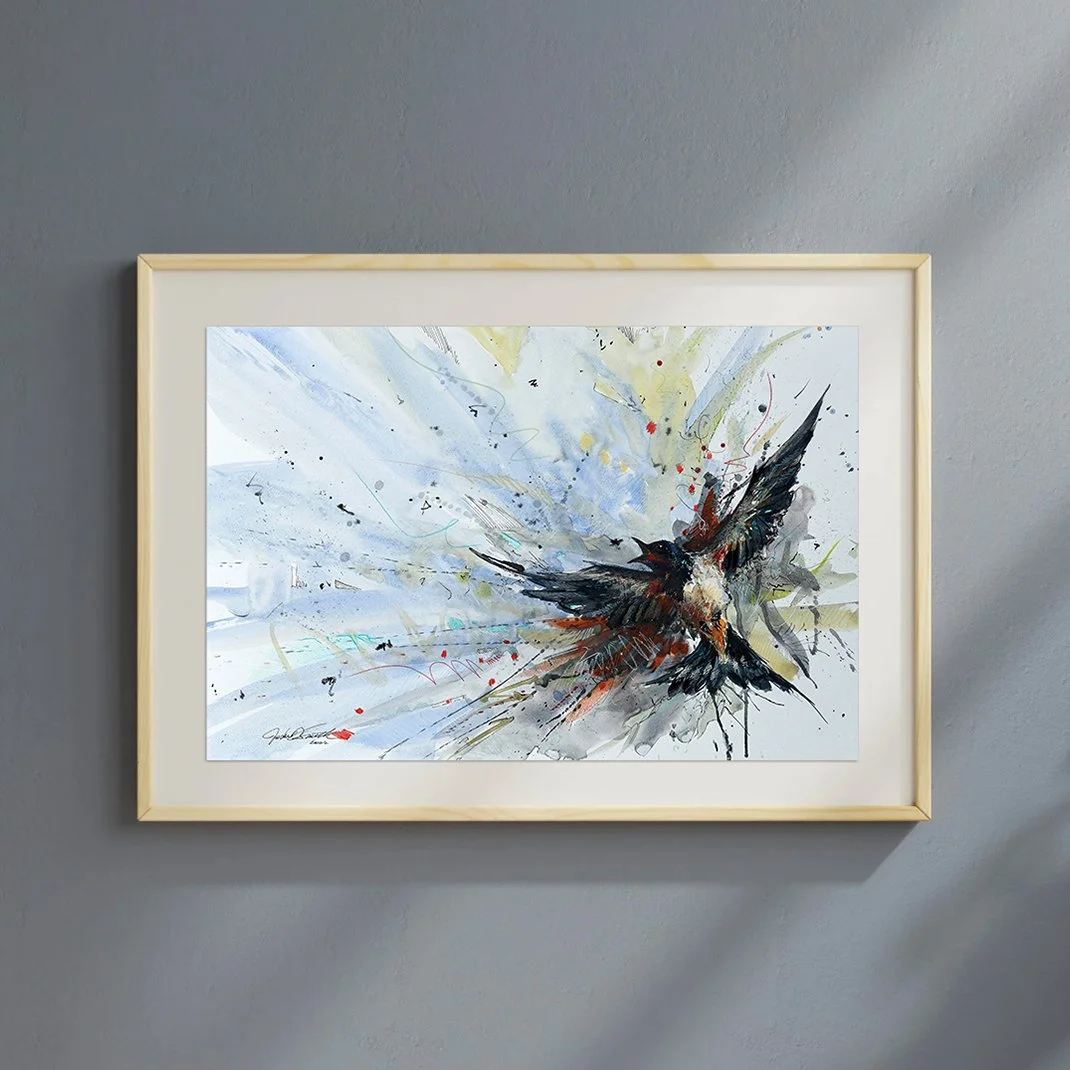 Barn Swallow in Flight