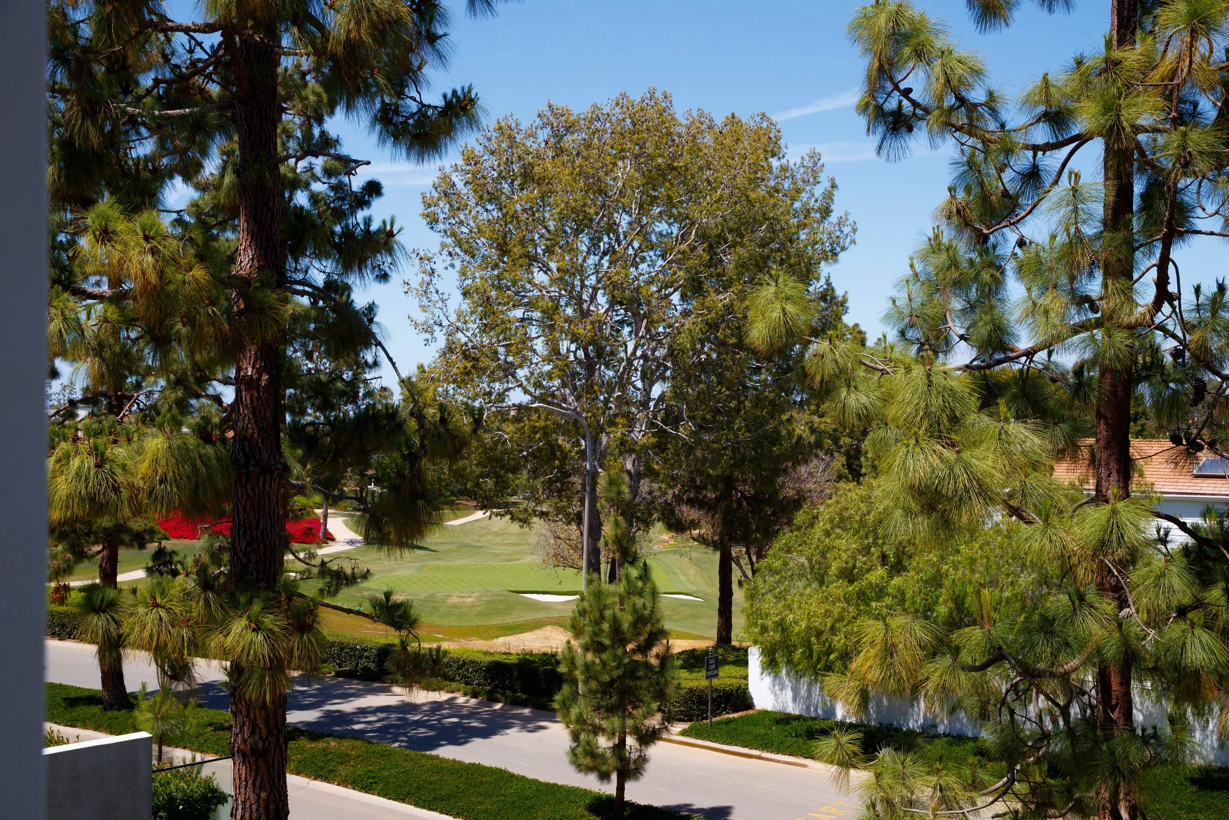 6 Pinehurst-139.jpg
