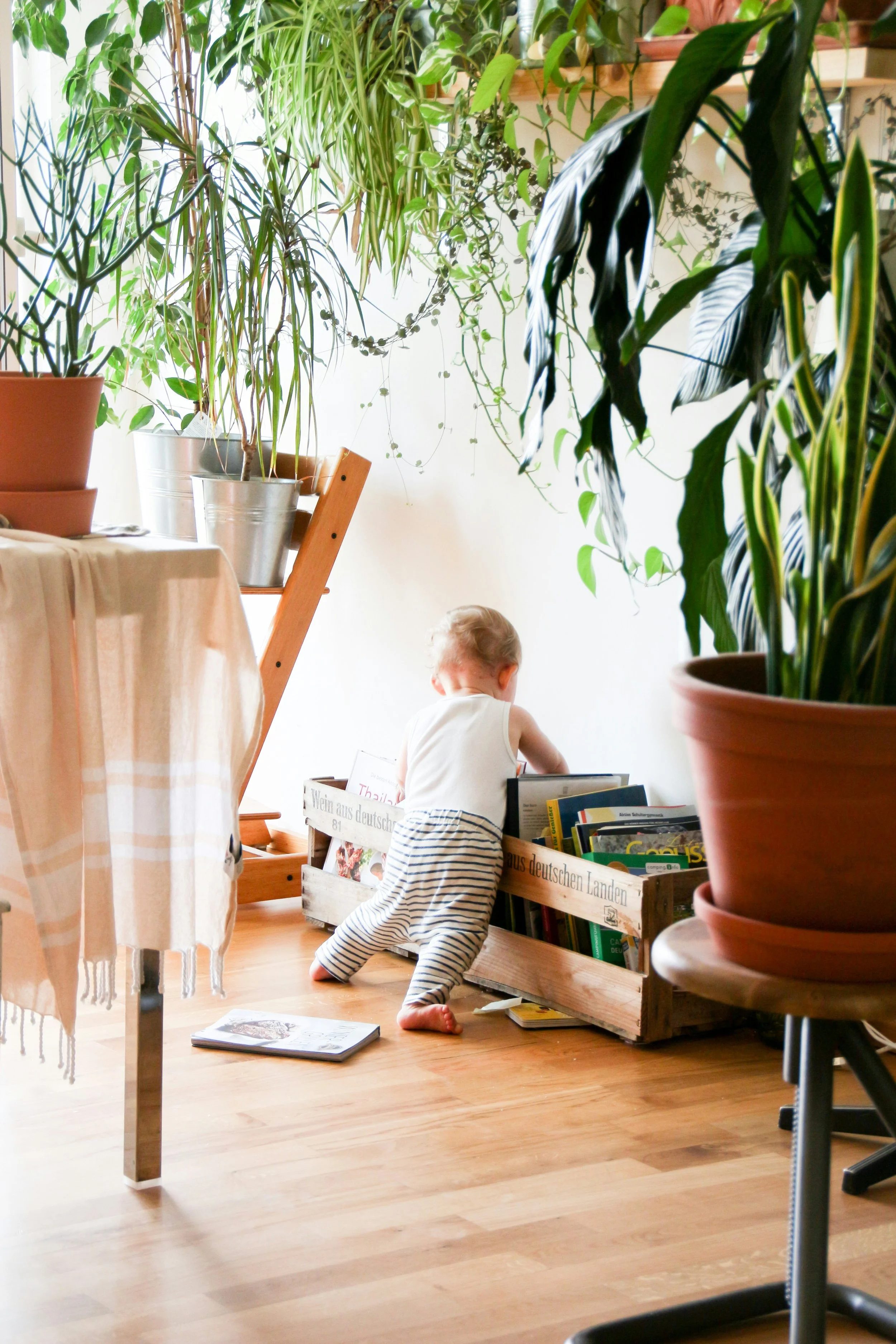 A toddler in striped pants and a white tank top reaches into a wooden crate filled with books on a hardwood floor, surrounded by houseplants and furniture in a well-lit room.