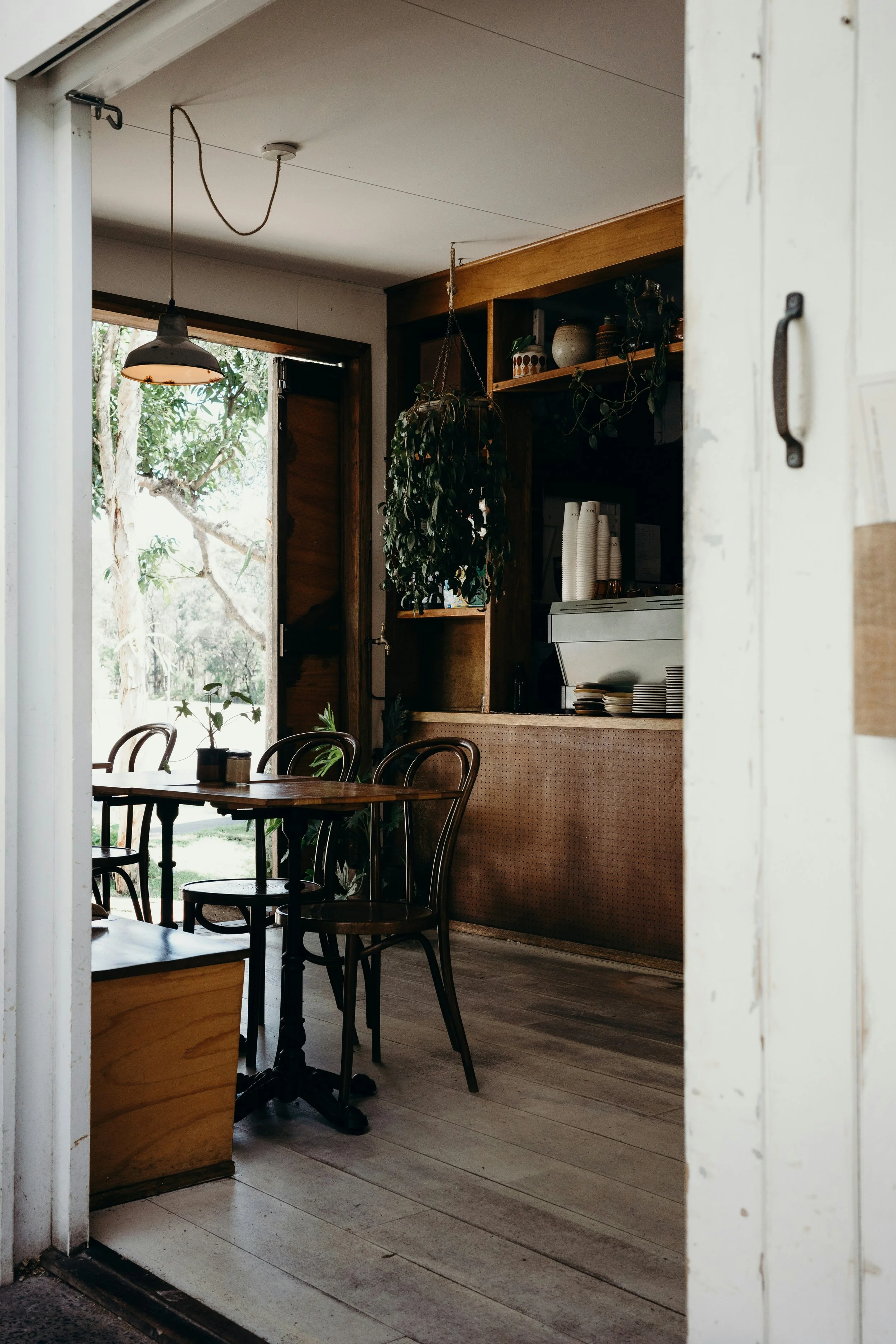 Interior of a cozy cafe with wooden tables and chairs, a large window showing trees outside, hanging plants, and shelves with dishes and decorative items.