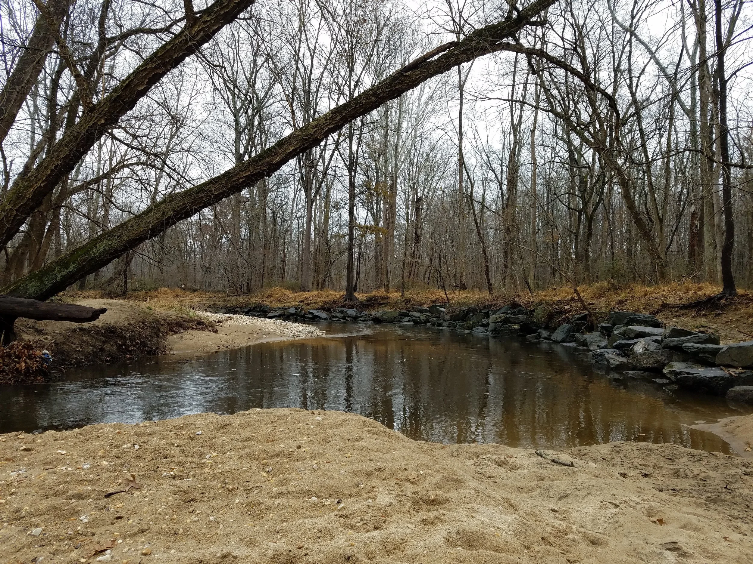A small creek running through a wooded area during late fall or early winter with leafless trees and overcast sky.